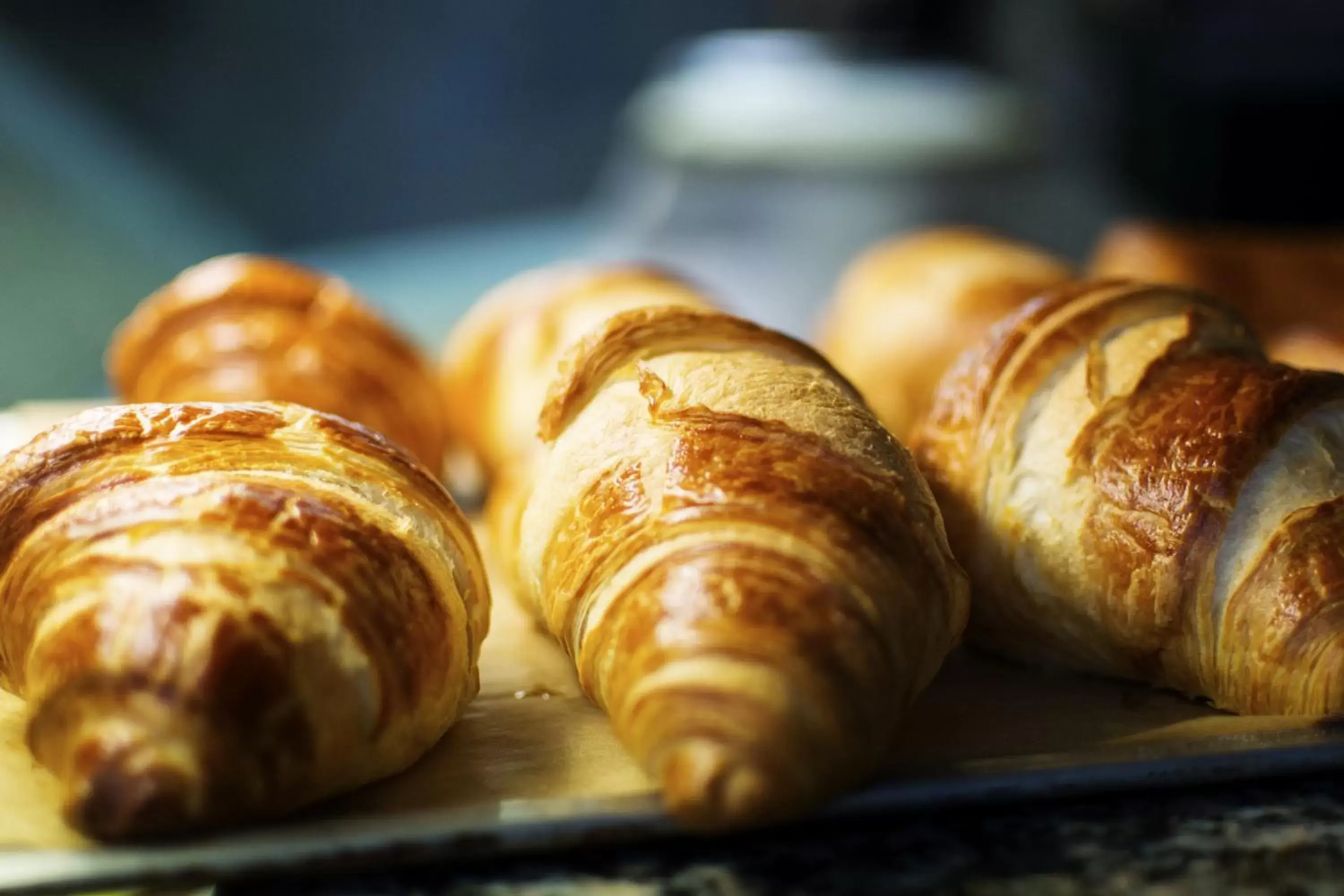 Continental breakfast, Food in ibis Strasbourg Centre Historique