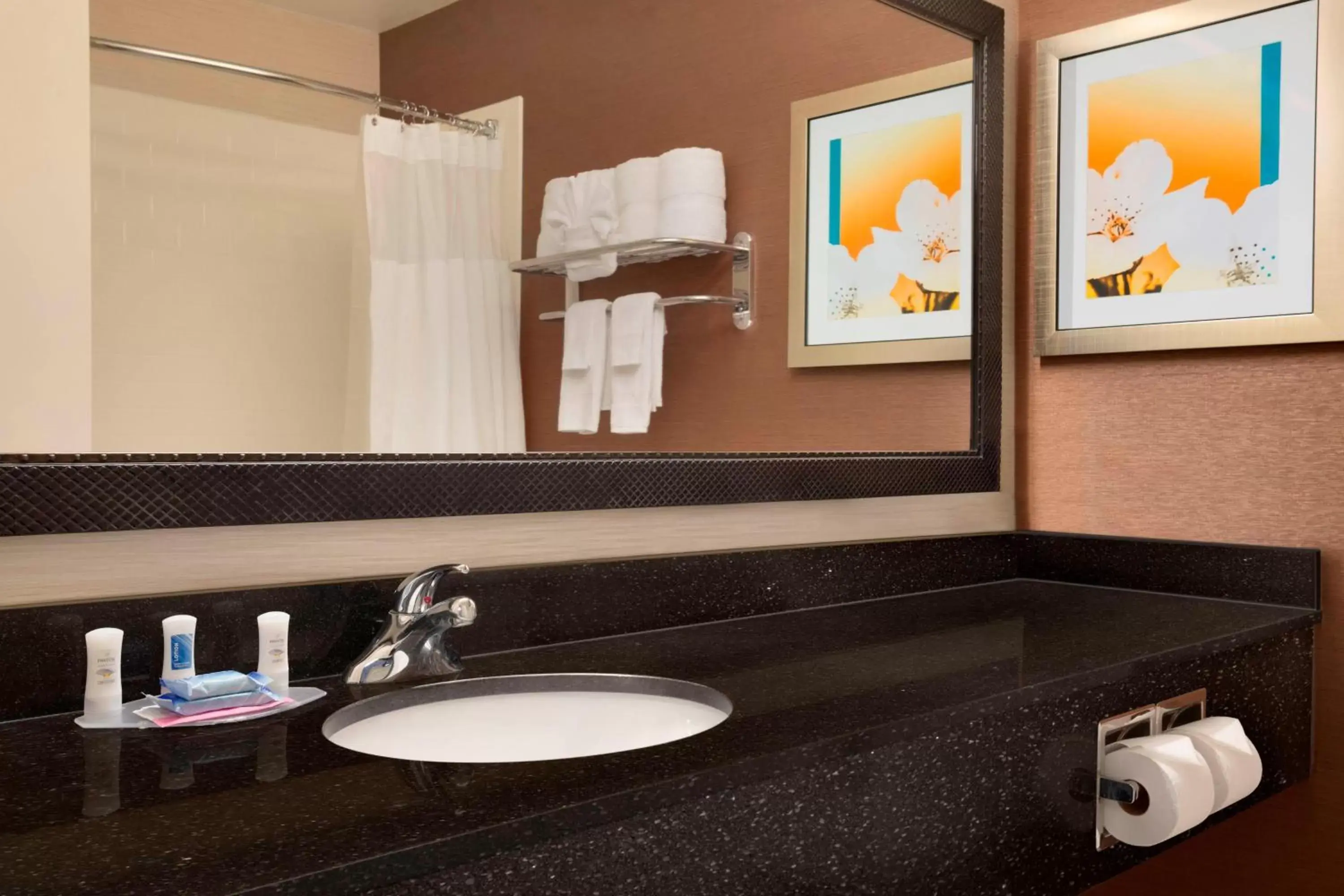 Bathroom in Fairfield Inn & Suites Fort Worth University Drive