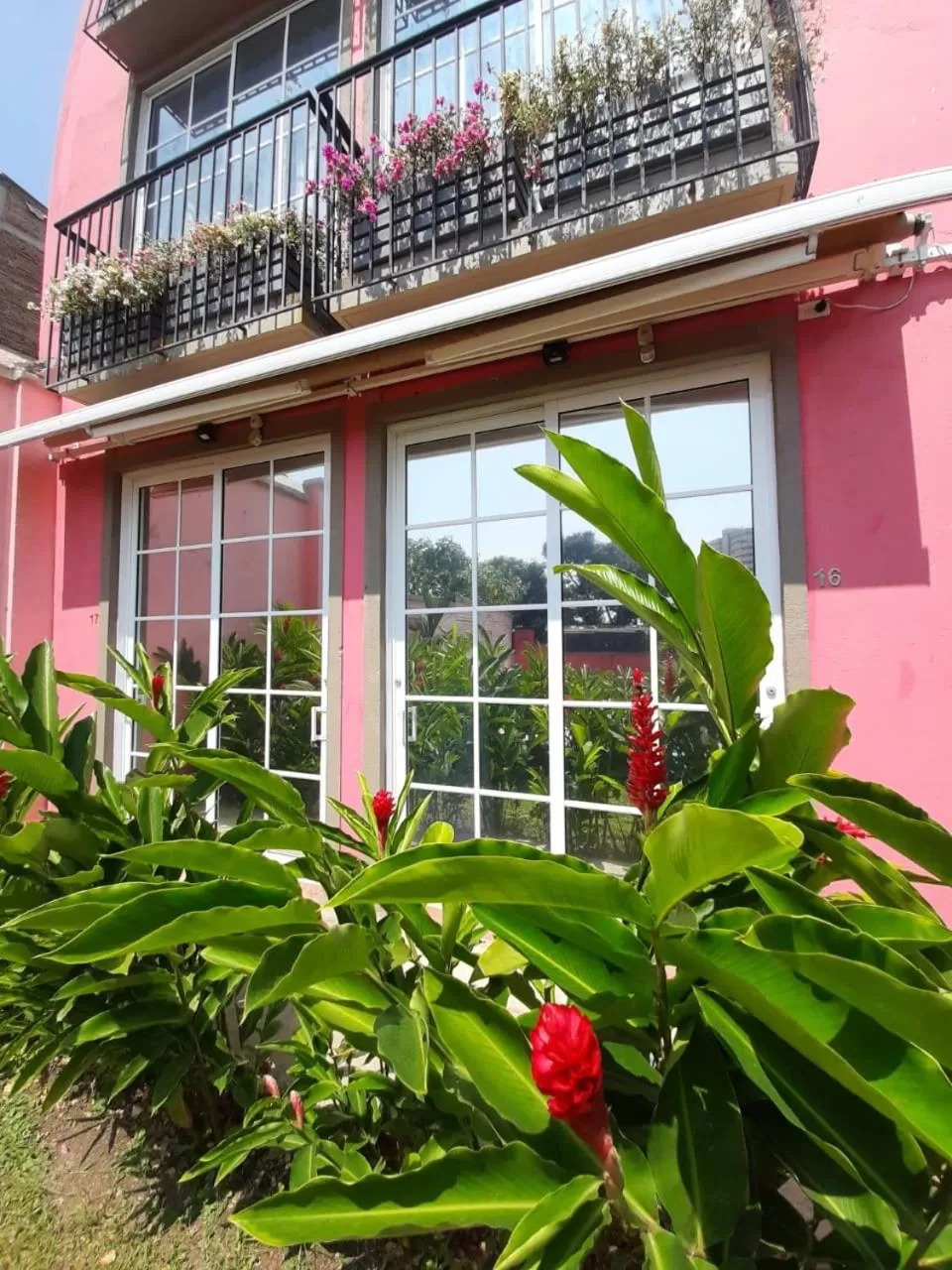 View (from property/room) in Rossa Palma