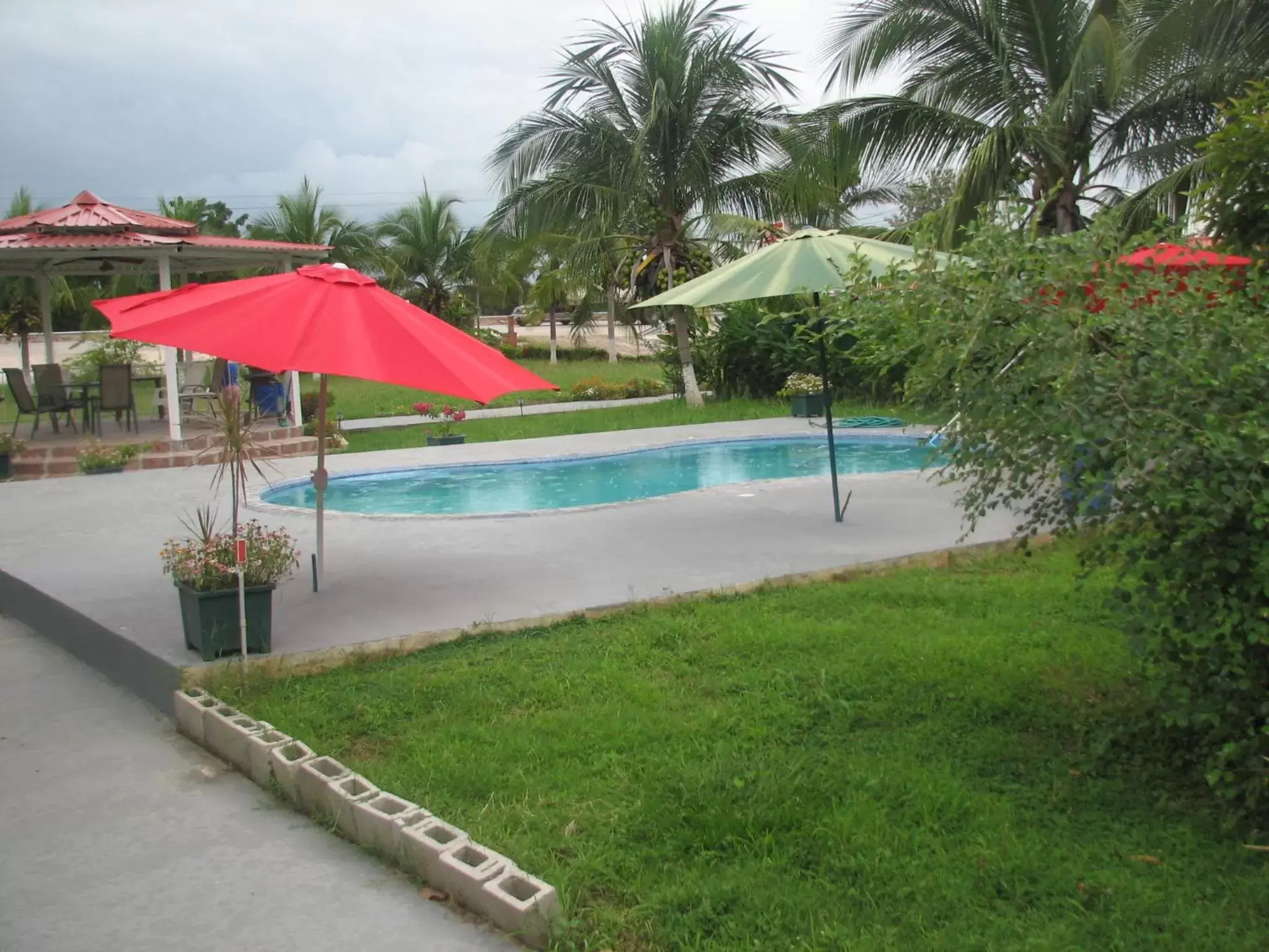 Swimming Pool in Hotel La Arena