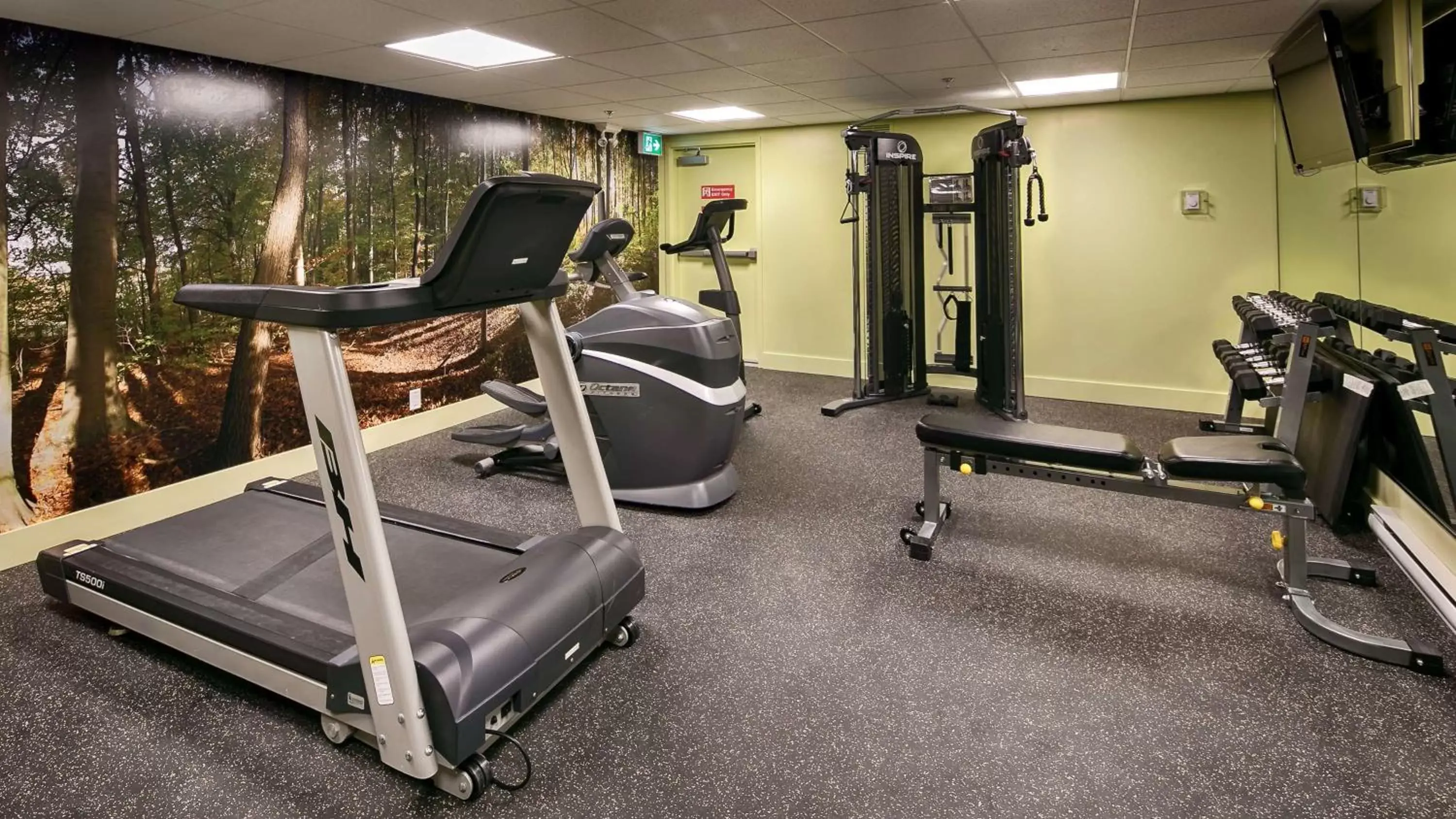 Fitness centre/facilities, Fitness Center/Facilities in Best Western PLUS Inner Harbour Hotel