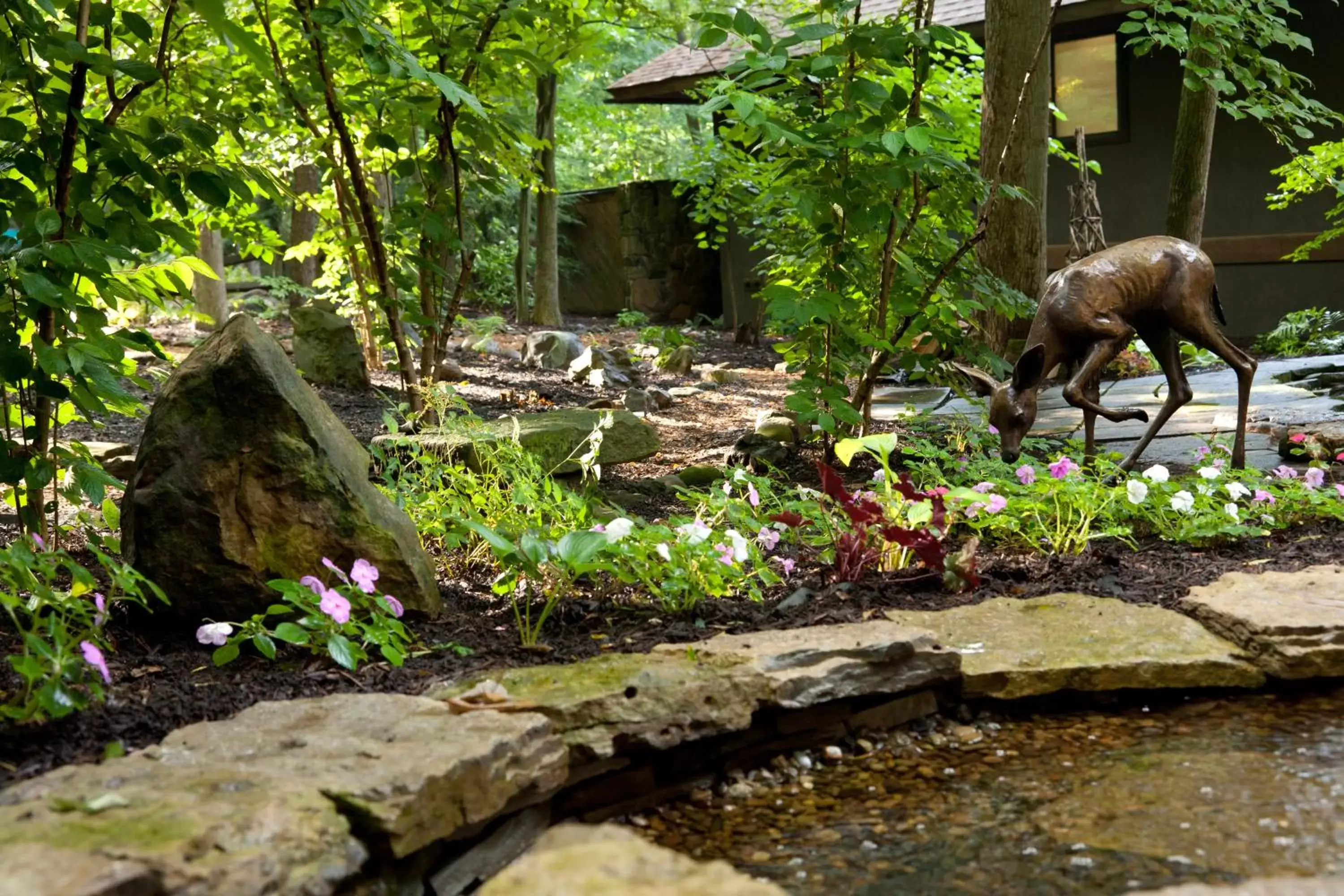 Spring, Other Animals in The Inn at Honey Run Millersburg