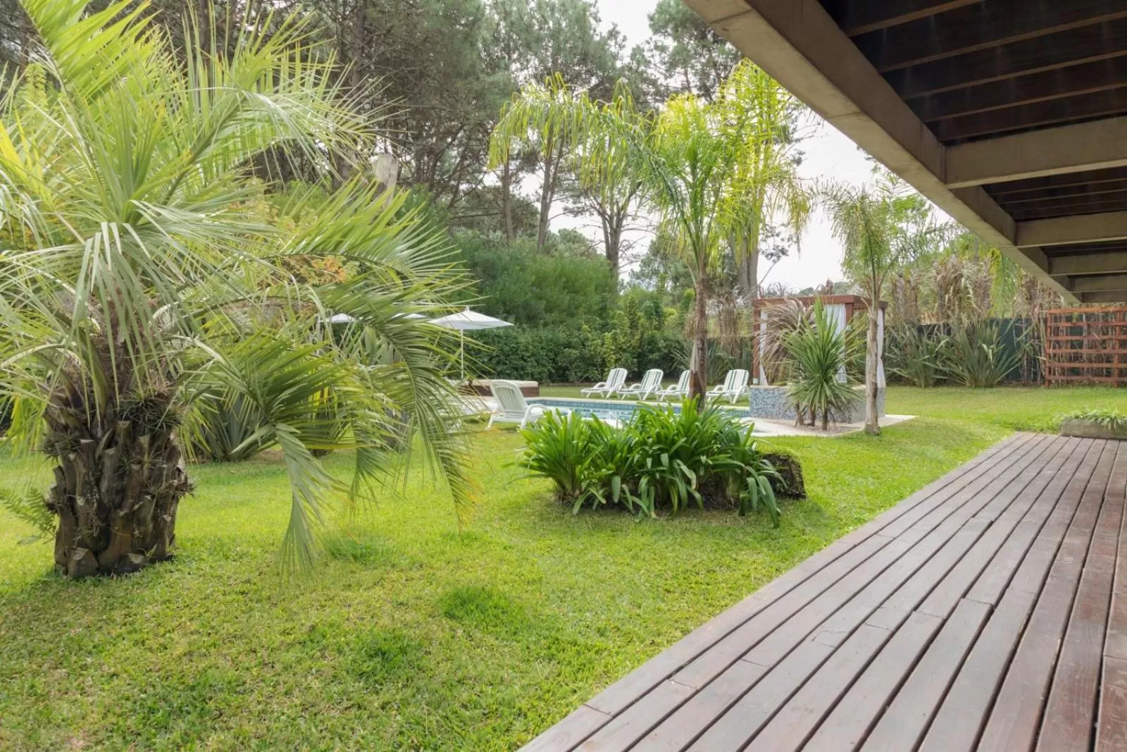 Garden in Undarius Hotel (exclusively gay men)