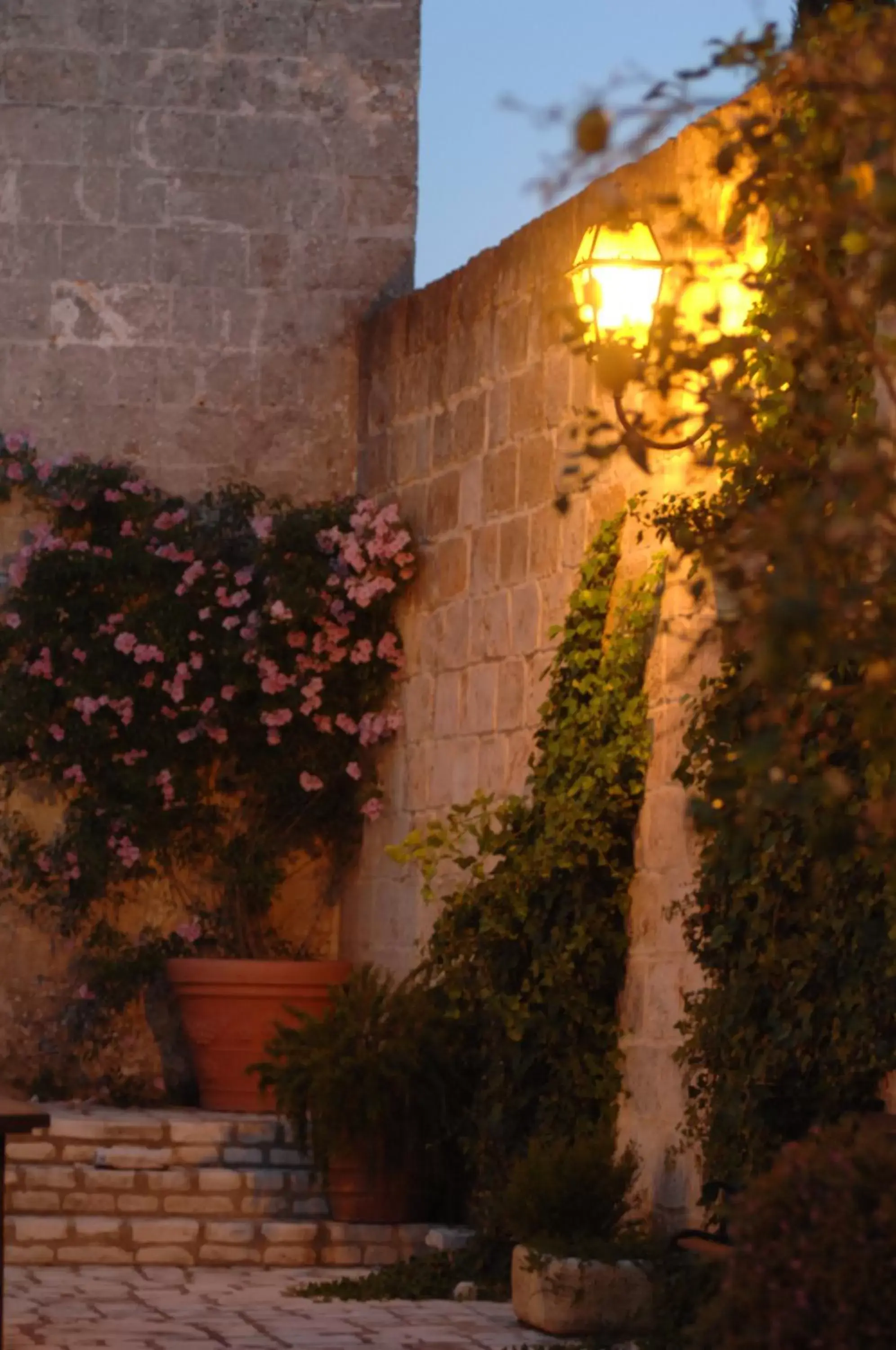 Garden in Castello Conti Filo