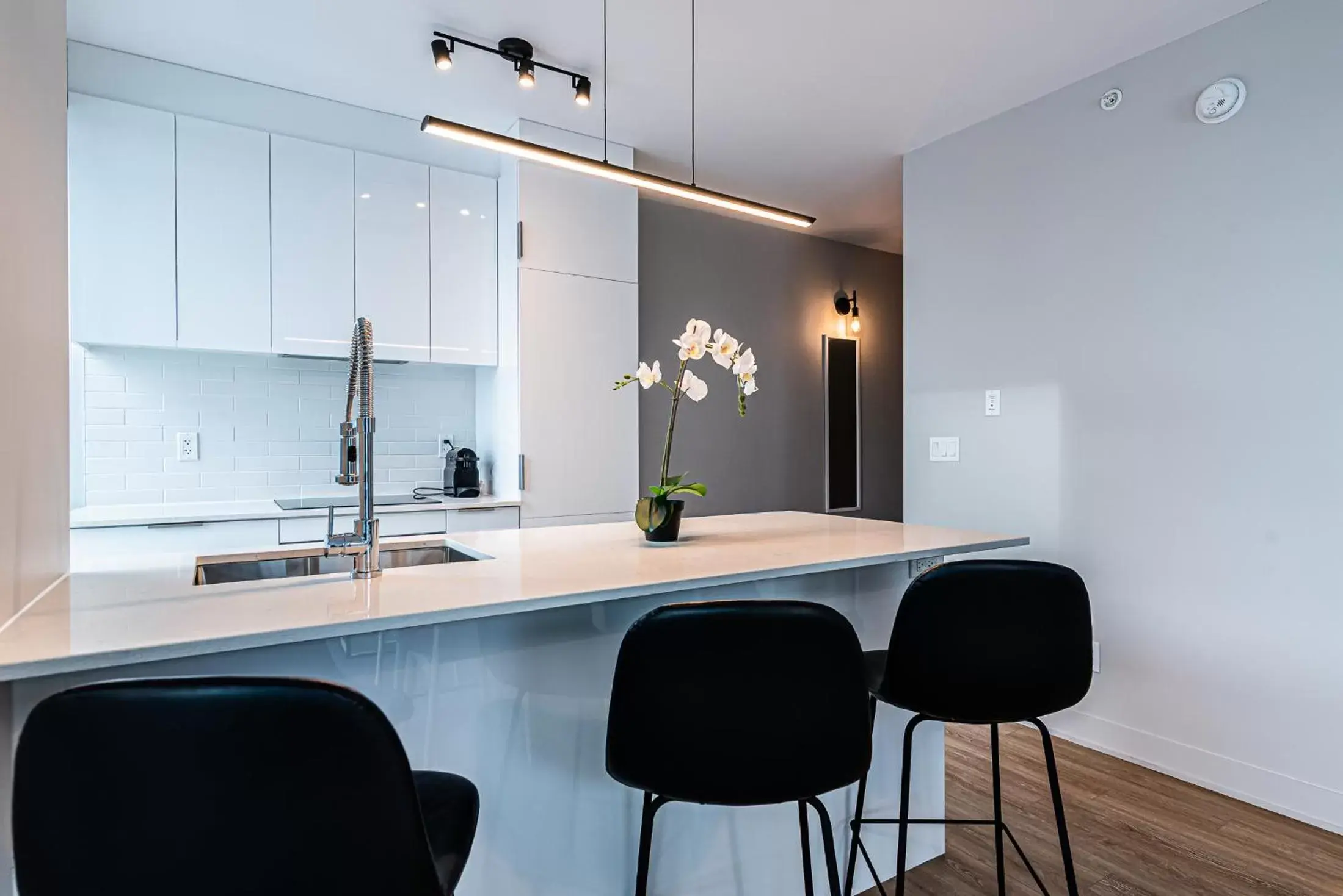 Kitchen or kitchenette, Kitchen/Kitchenette in WRFY Griffintown Apartment