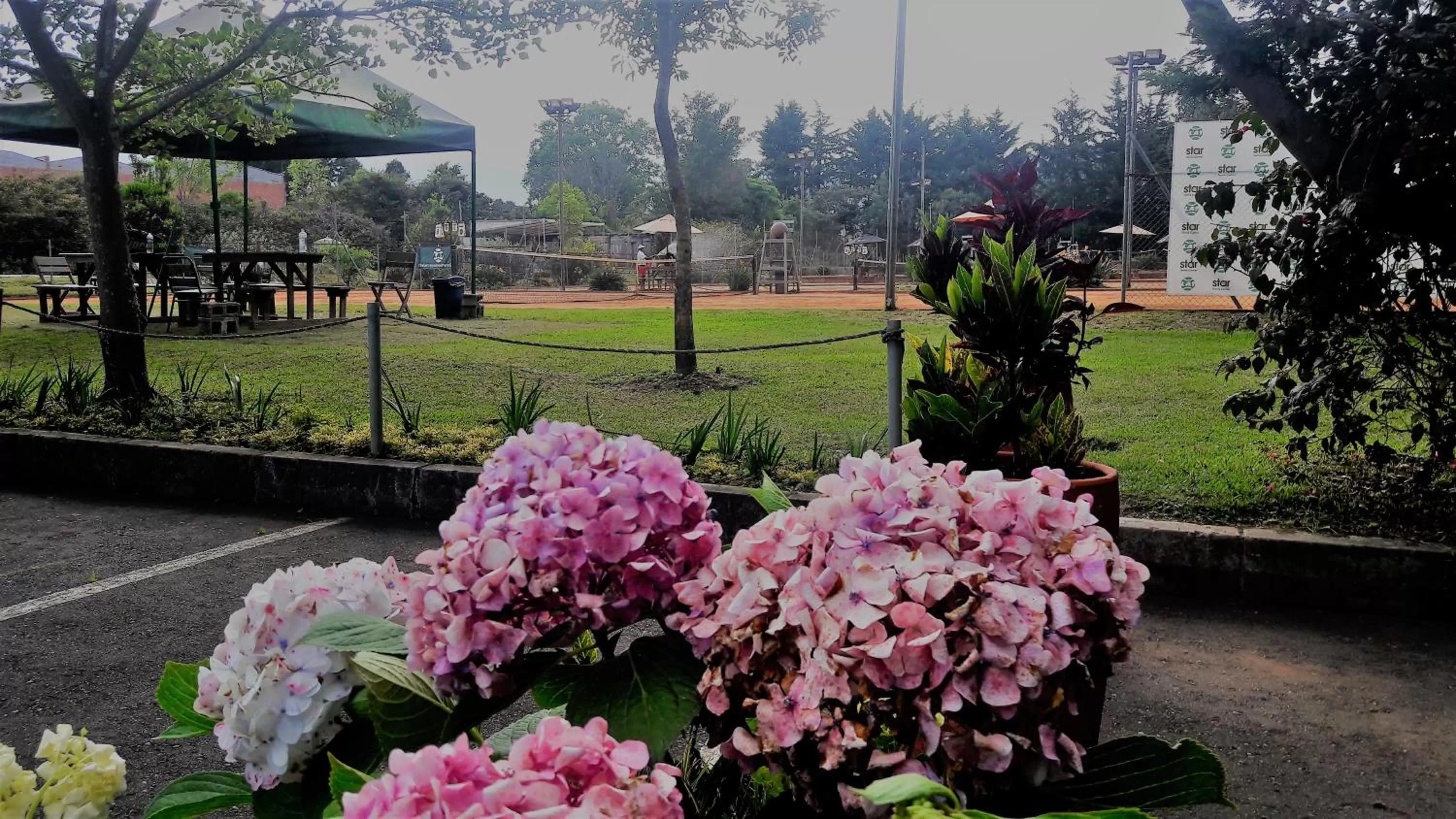 Garden in ALTO LODGING Centro de Entrenamiento Deportivo y Negocios, a 2 pasos del Aeropuerto JMC, Transporte Incluido