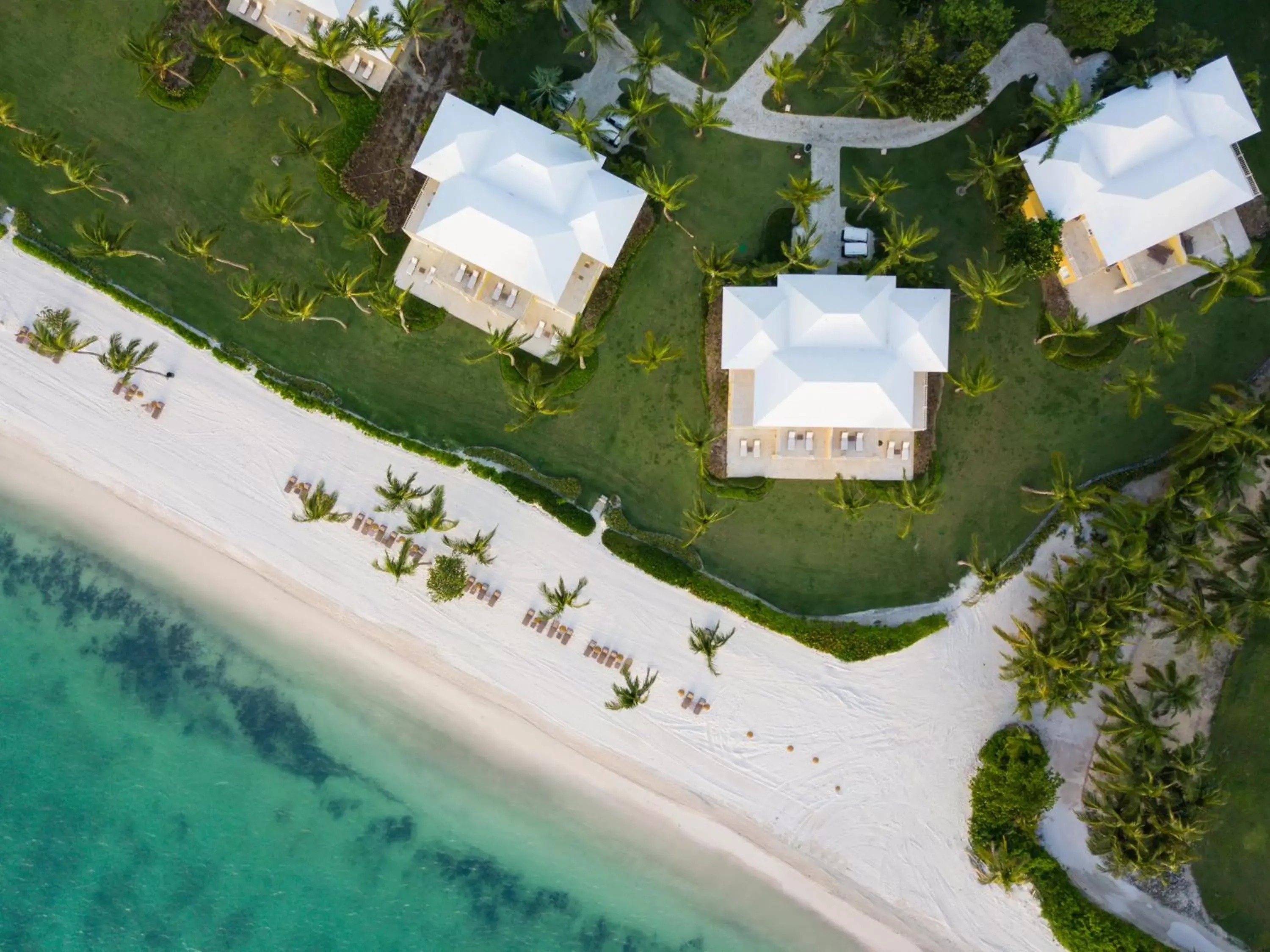 Bird's eye view, Bird's-eye View in Tortuga Bay