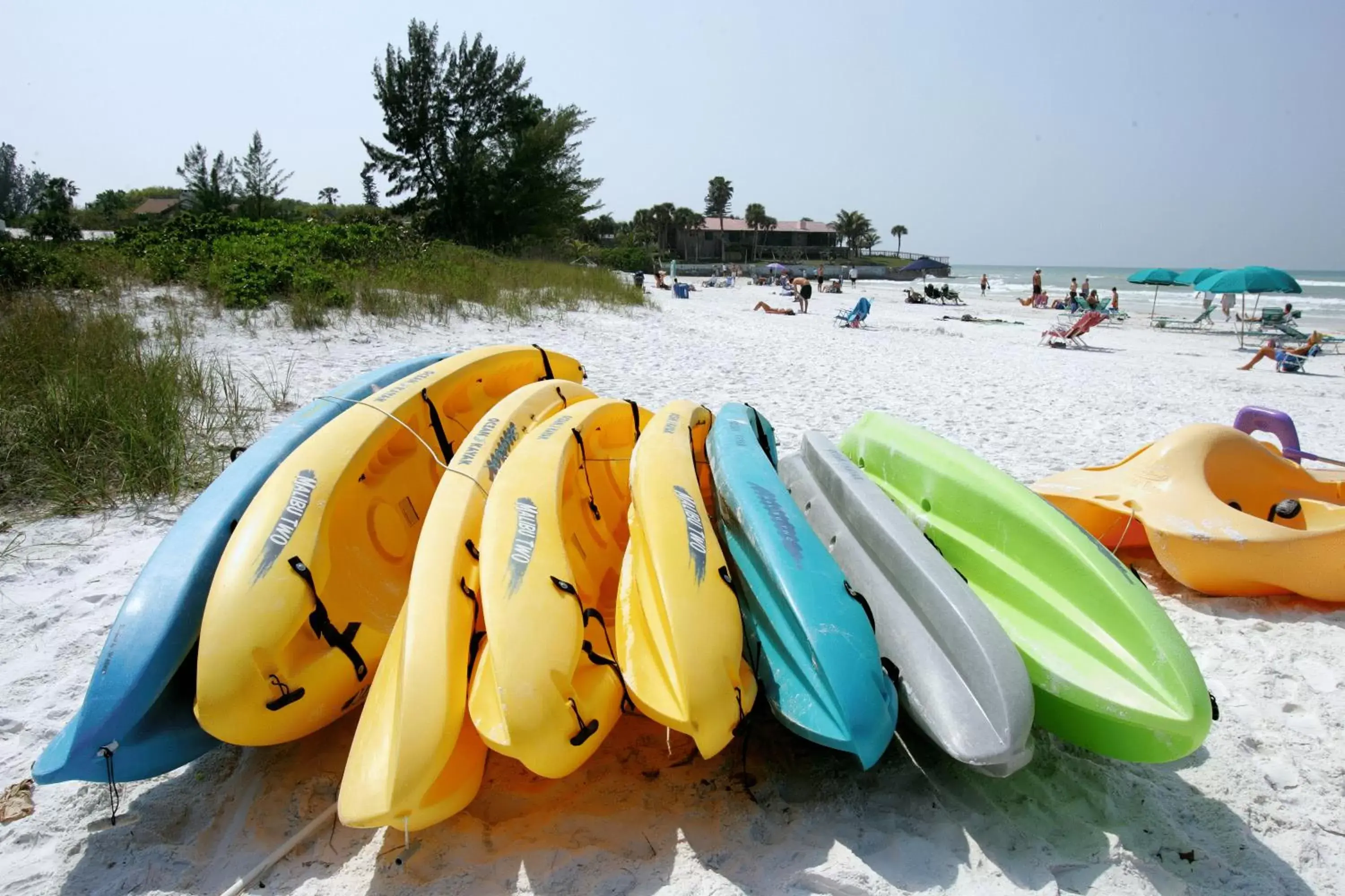 Area and facilities, Beach in Tropical Beach Resorts - Sarasota