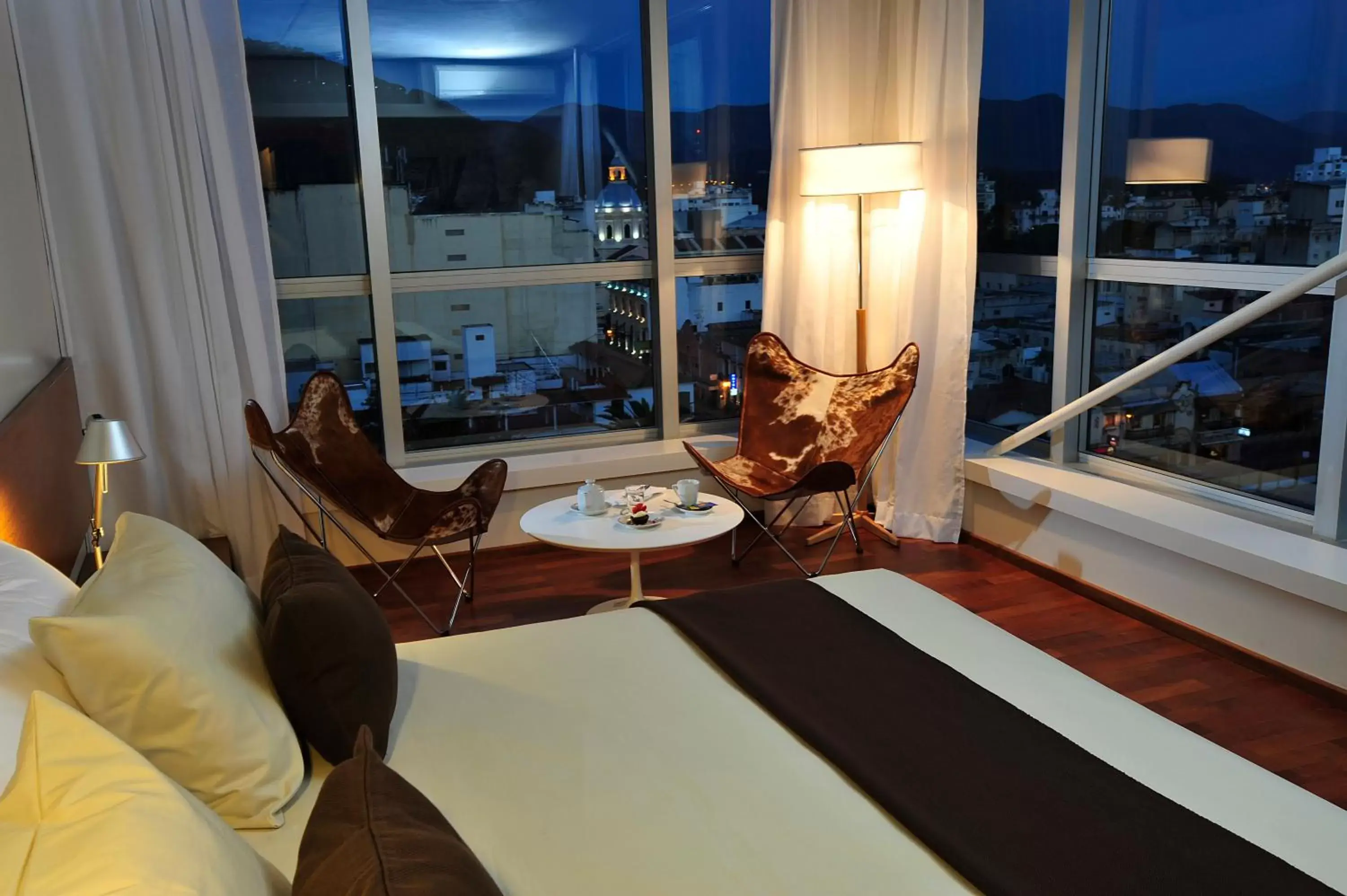 View (from property/room) in Design Suites Salta
