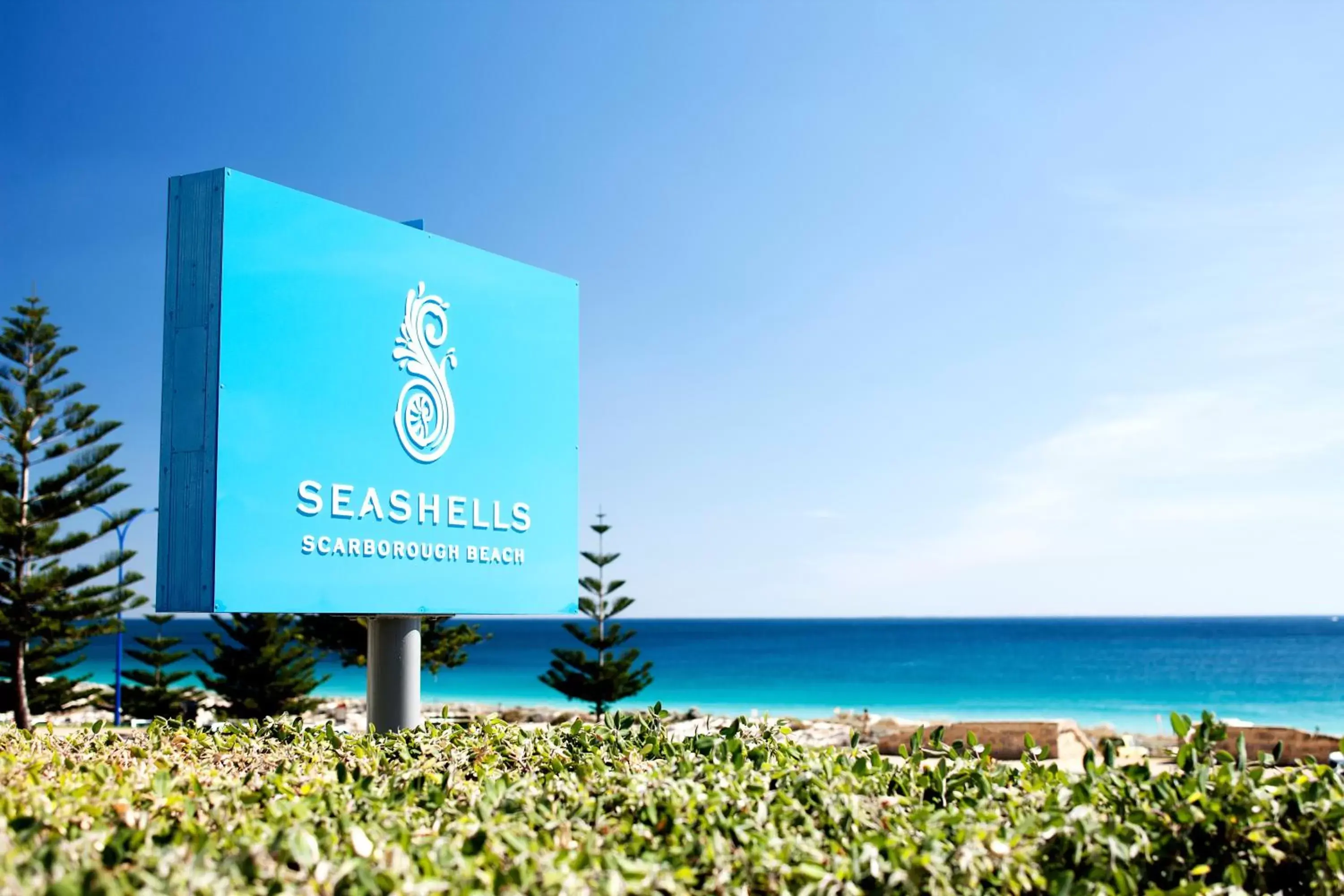 Logo/Certificate/Sign in Seashells Scarborough