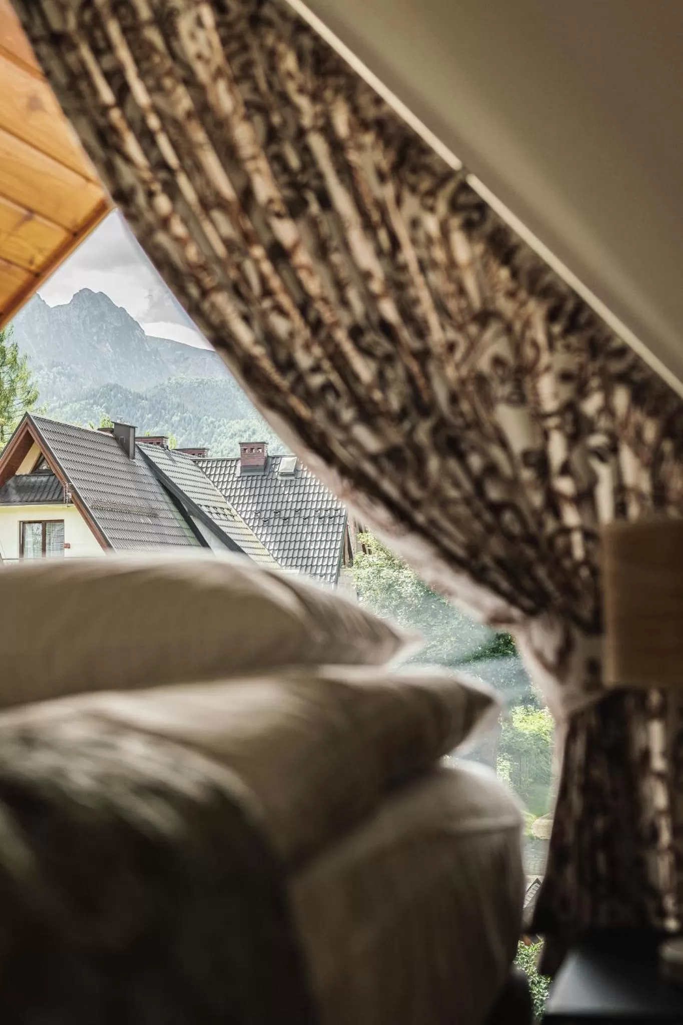 View (from property/room) in Apartamenty Jedlina