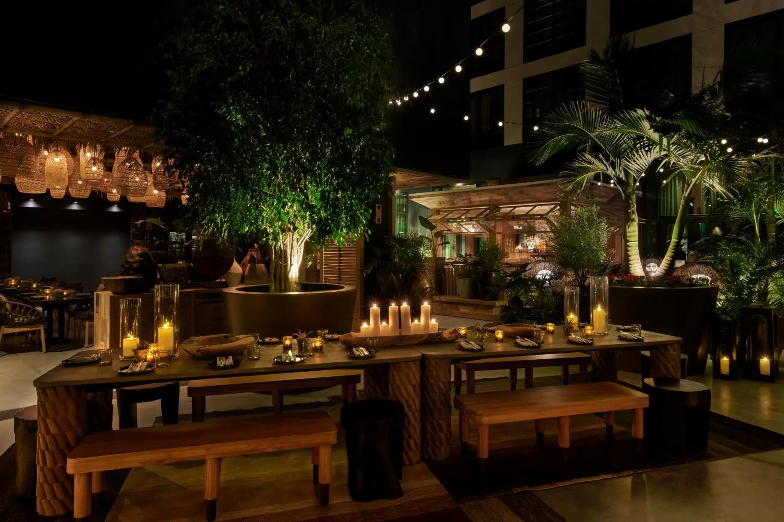 Restaurant/Places to Eat in tommie Hollywood, part of Jdv by Hyatt