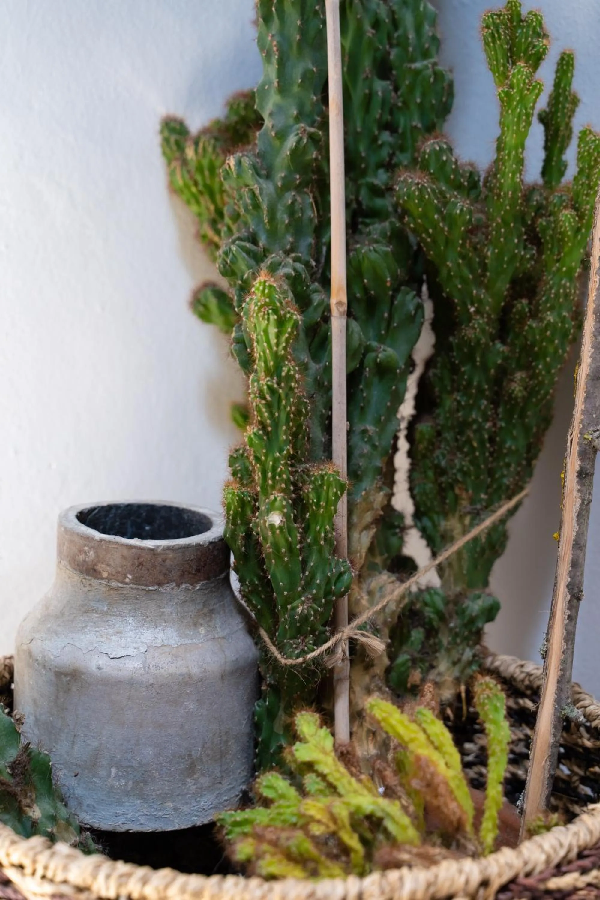 Decorative detail in Hotel Mom Assisi