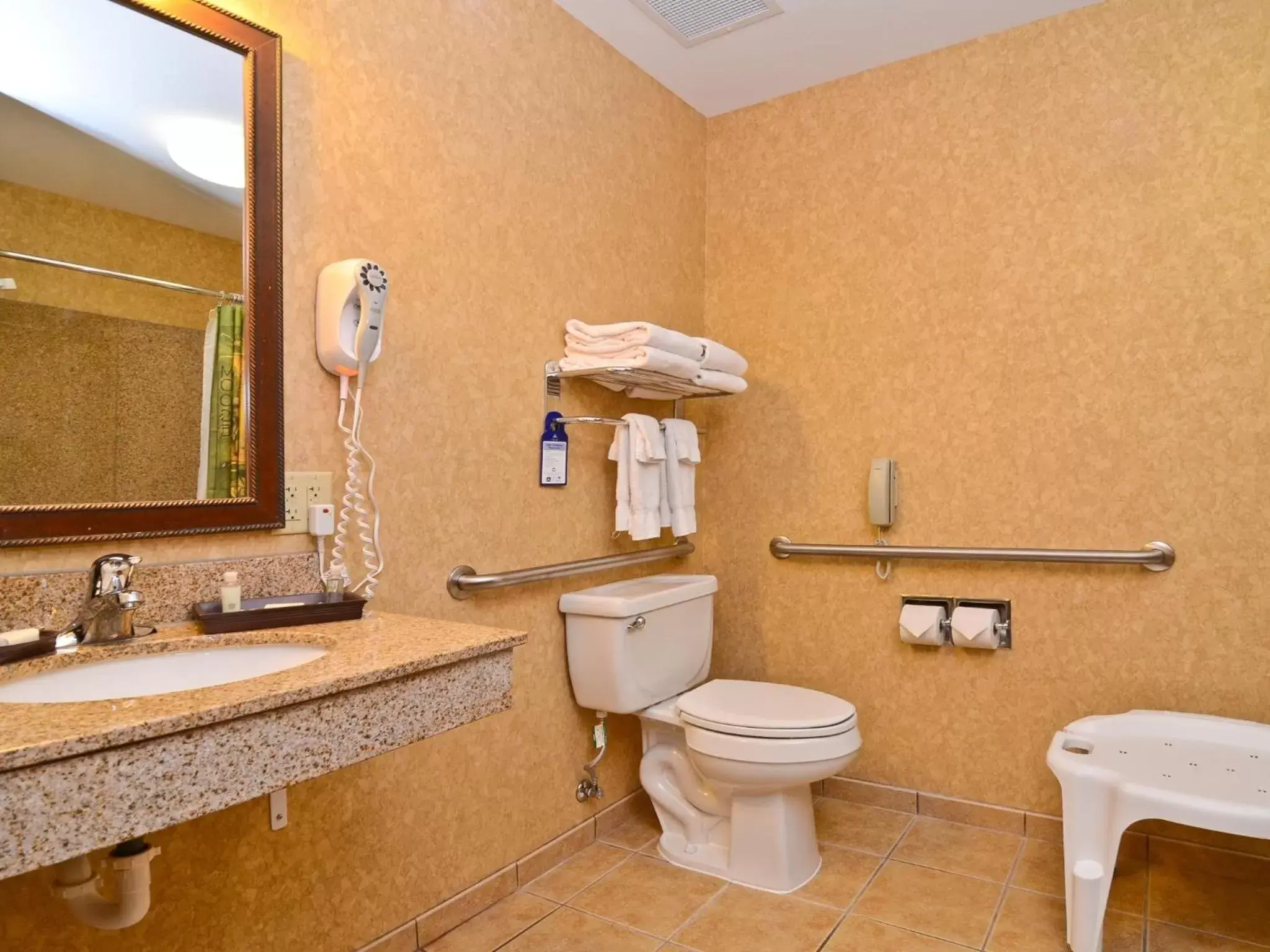 Shower, Bathroom in Best Western Plus Kelly Inn and Suites