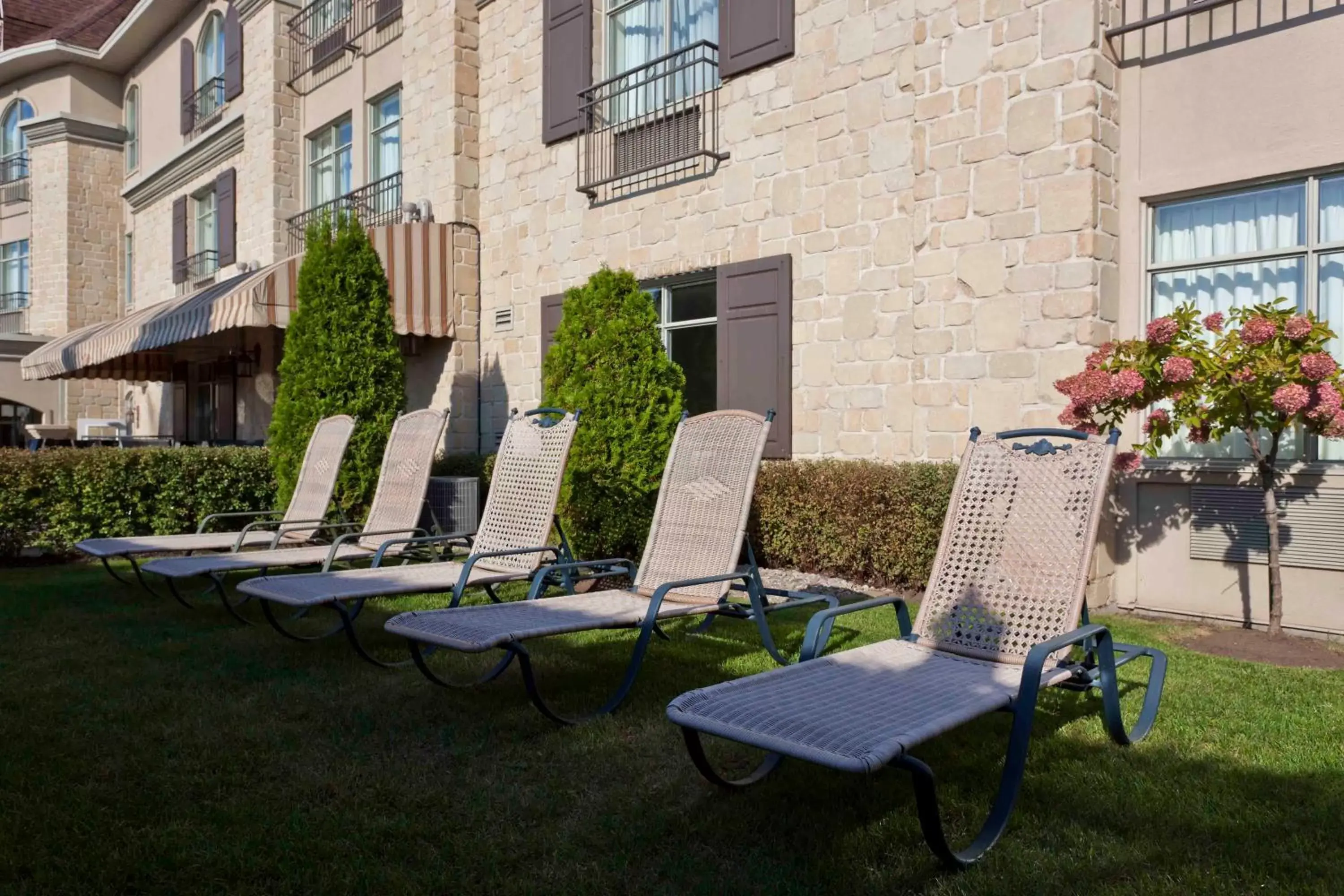 Garden in Le St-Martin Hotel & Suites