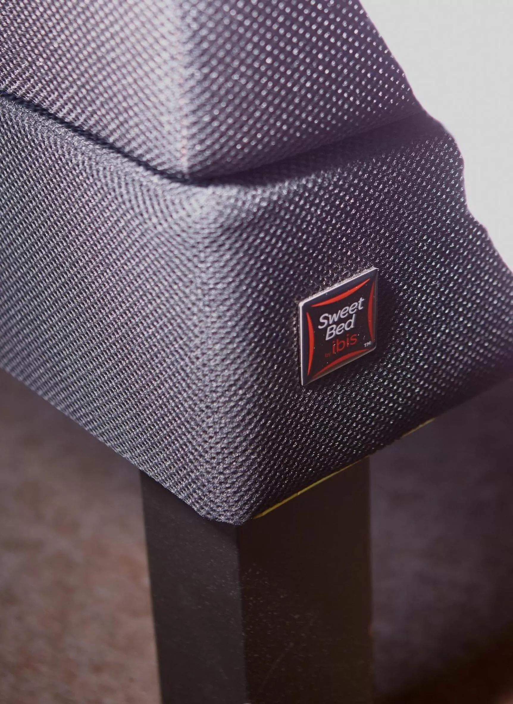 Decorative detail in Ibis Saint Étienne - La Terrasse