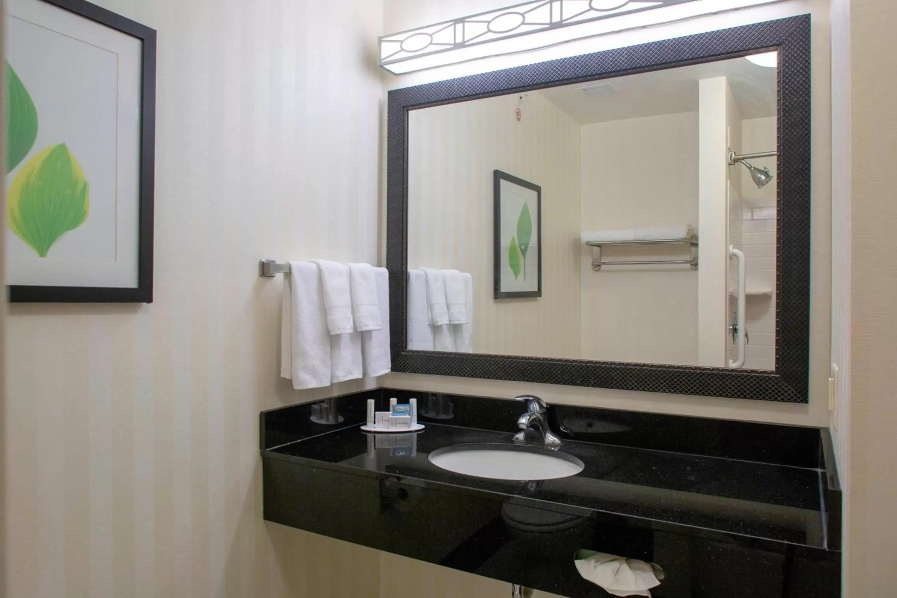 Bathroom in Fairfield Inn and Suites by Marriott Gadsden