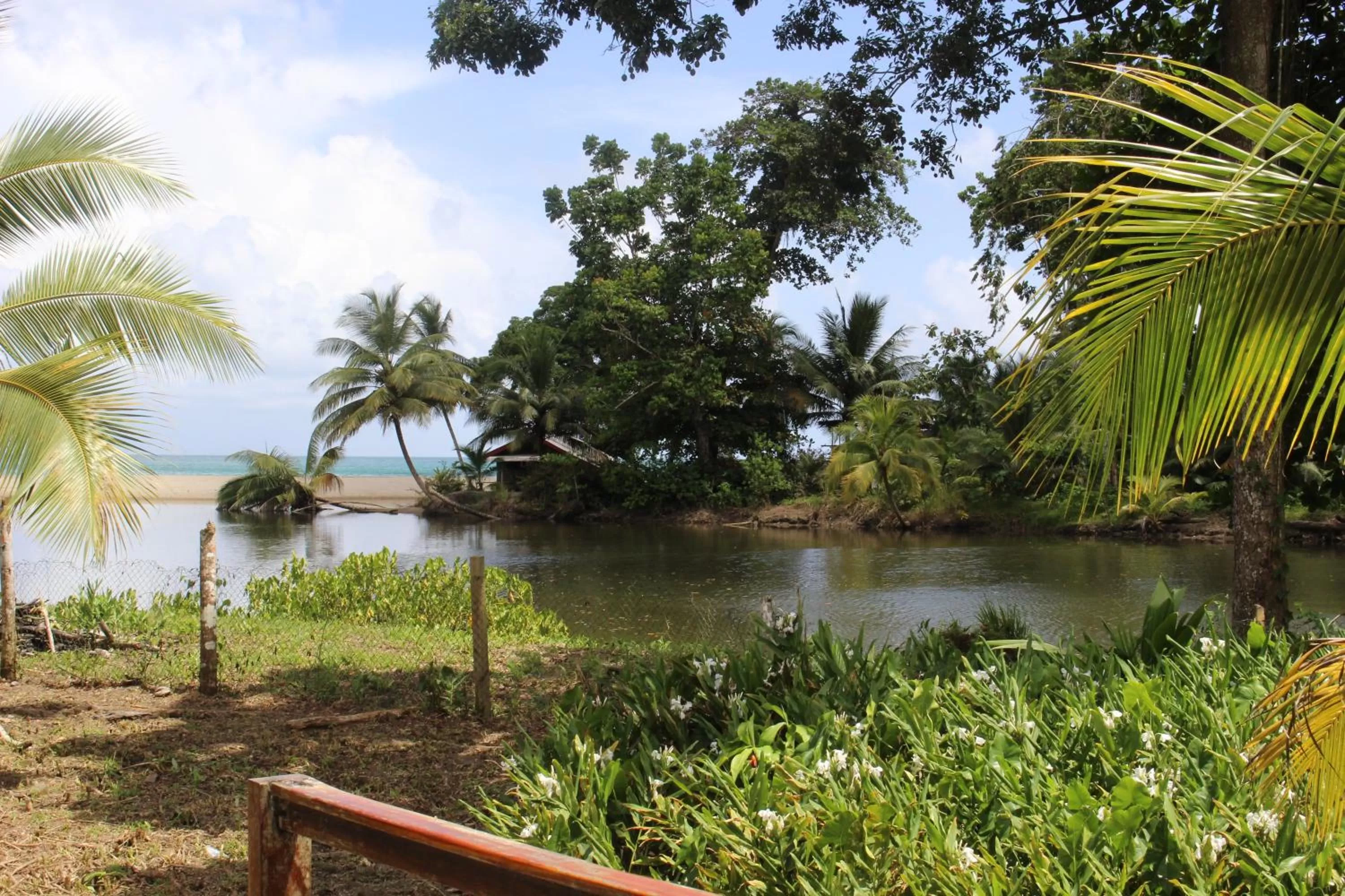 River view in Acajou Hotel