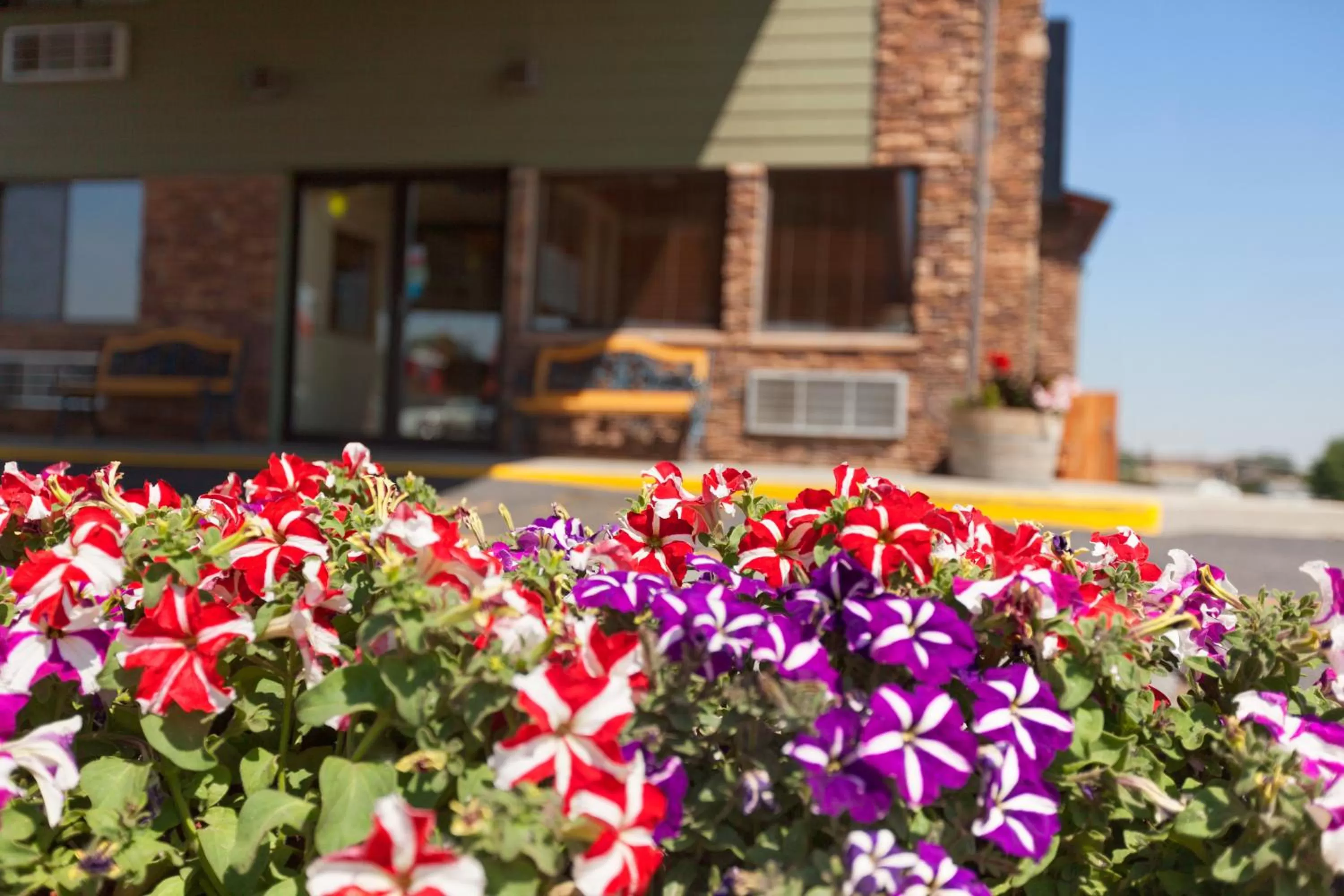 View (from property/room) in Super 8 by Wyndham Columbus