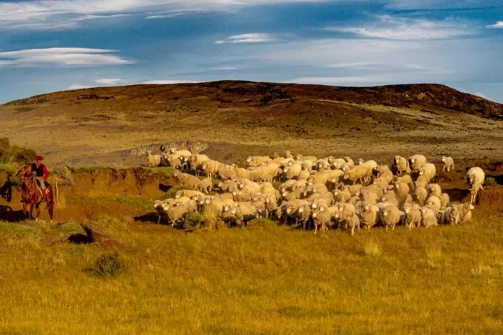 Hostería El Galpón Del Glaciar