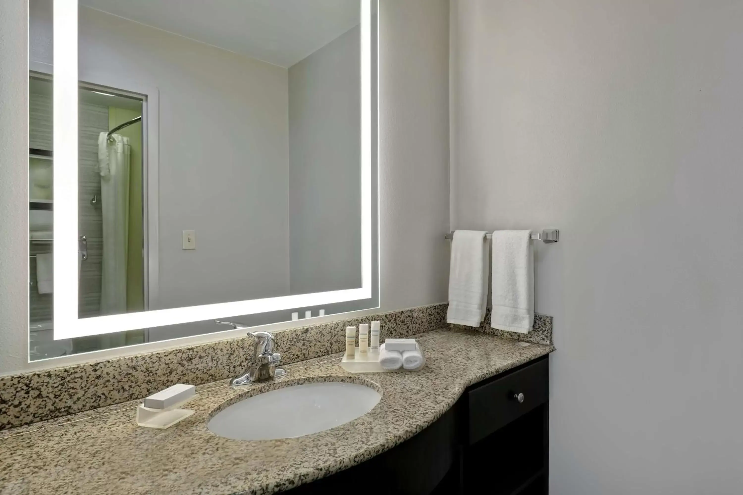 Bathroom in Homewood Suites by Hilton McAllen