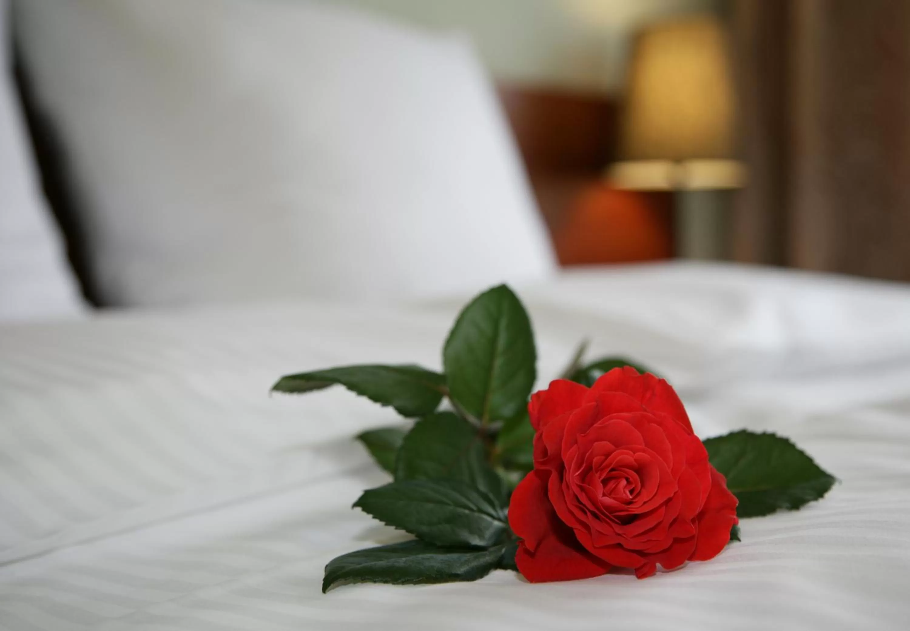 Bed in Aparthotel Globus Self-Check in