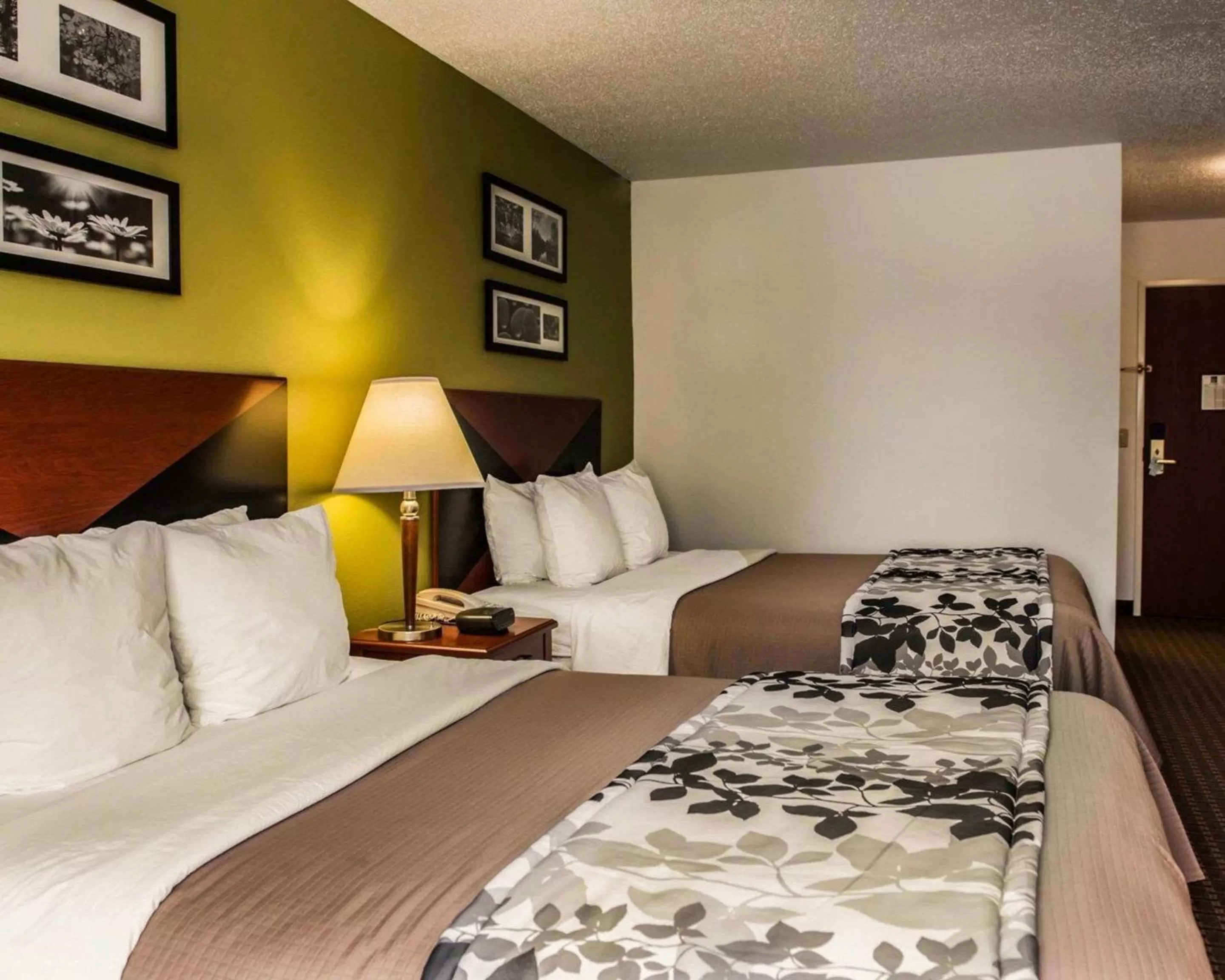 Photo of the whole room, Bed in Sleep Inn South Bend Airport