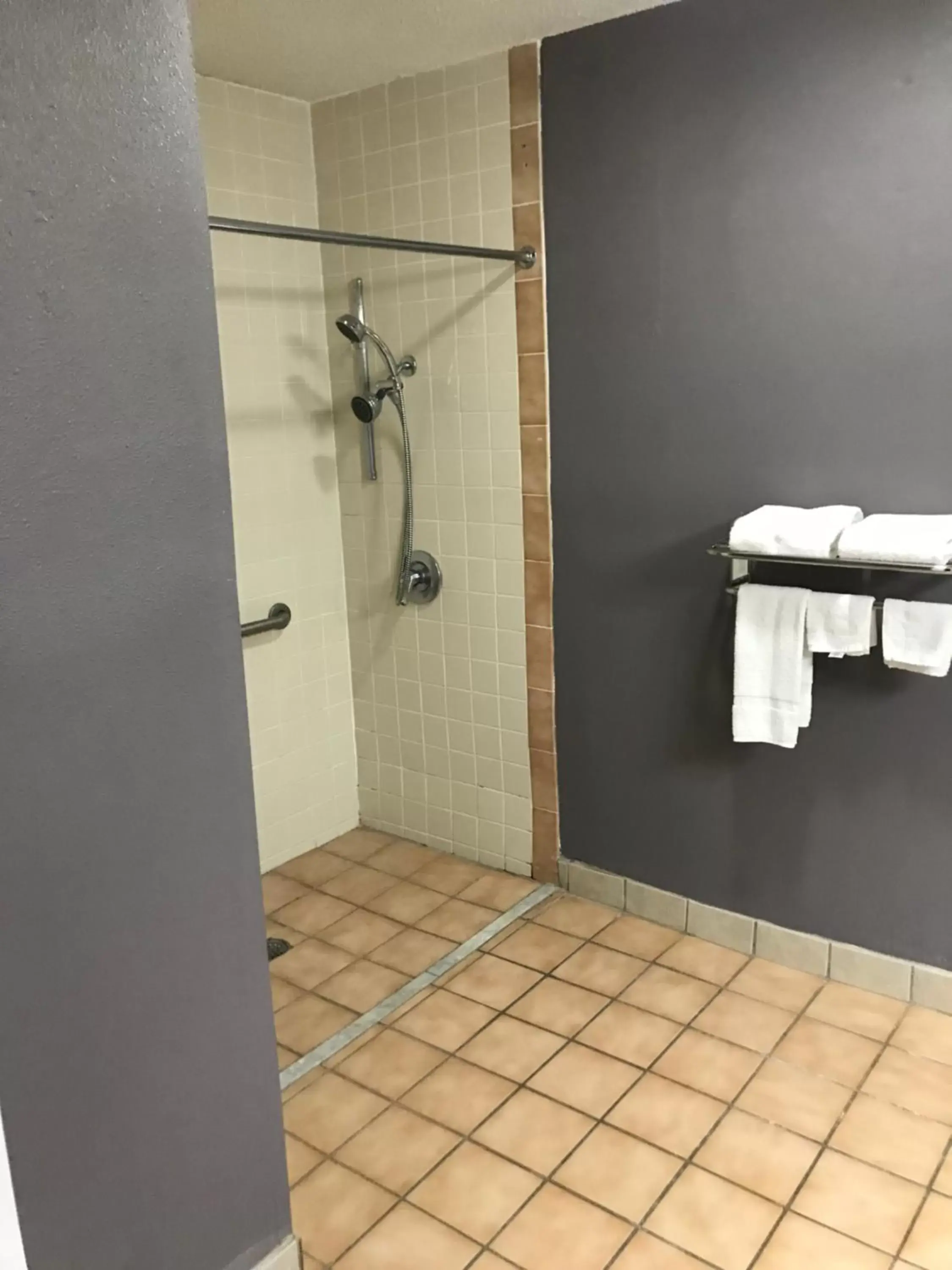 Bathroom in Super 8 by Wyndham Slidell