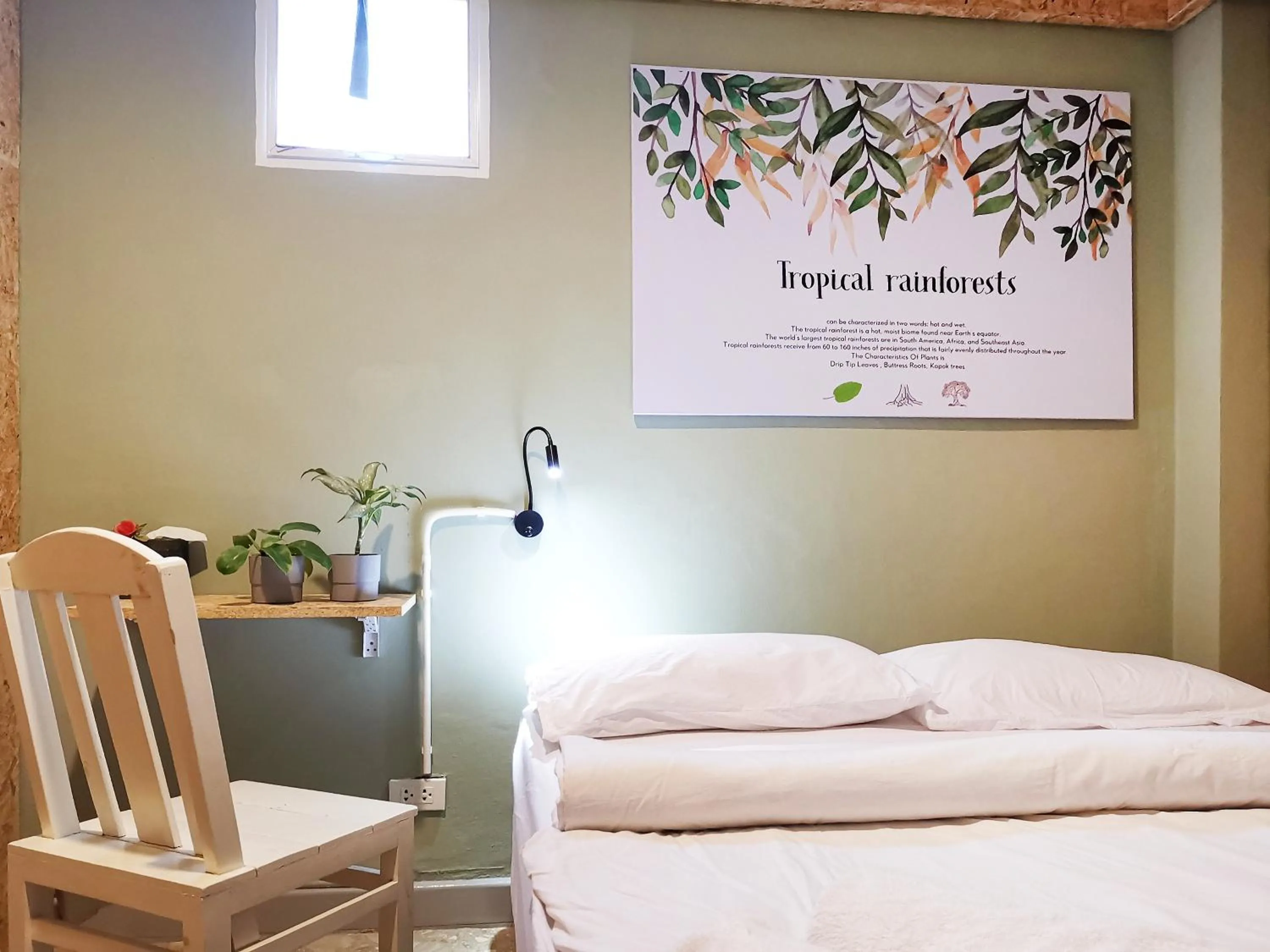 Photo of the whole room in O Nidra House