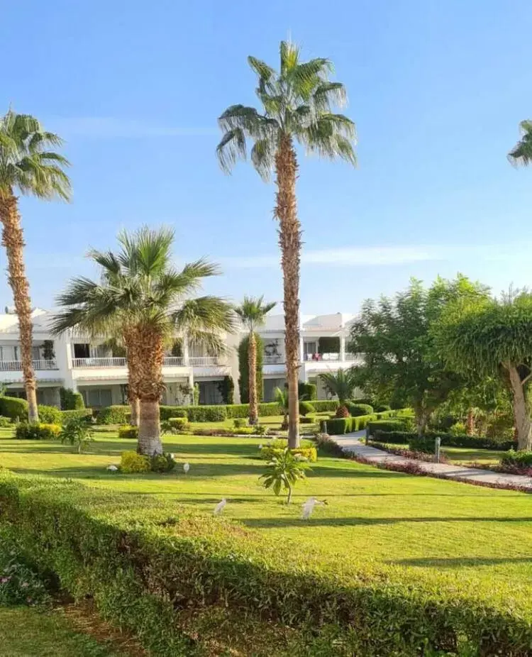 Property Building in Monte Carlo Sharm Resort & Spa