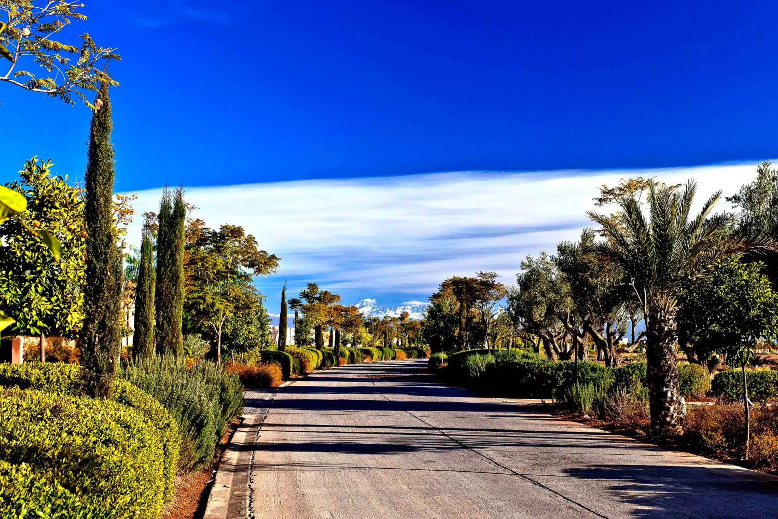 Facade/entrance in Al Maaden Villa Hotel & Spa
