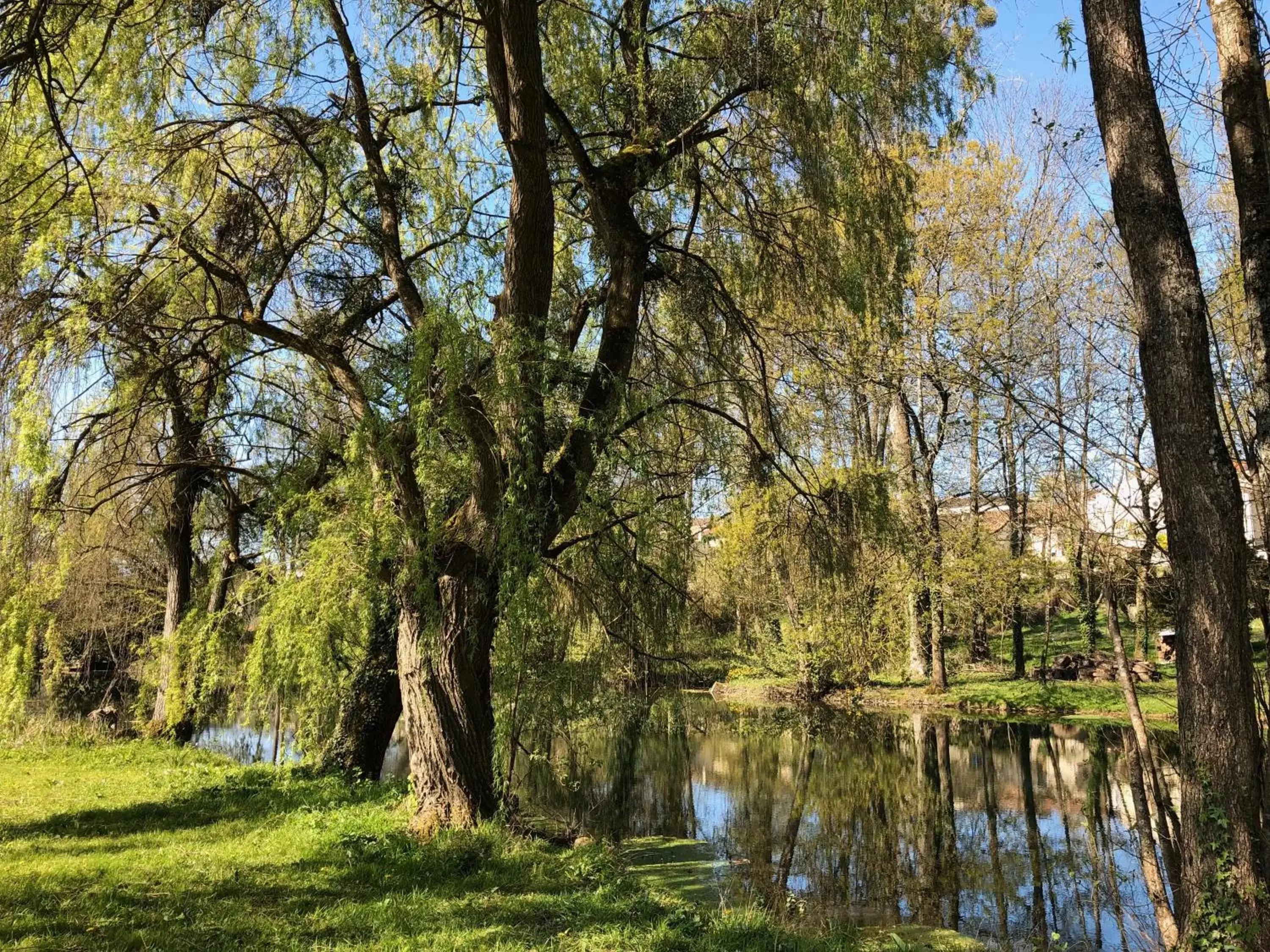 Spring, Natural Landscape in Suite en Terrasse à Cognac