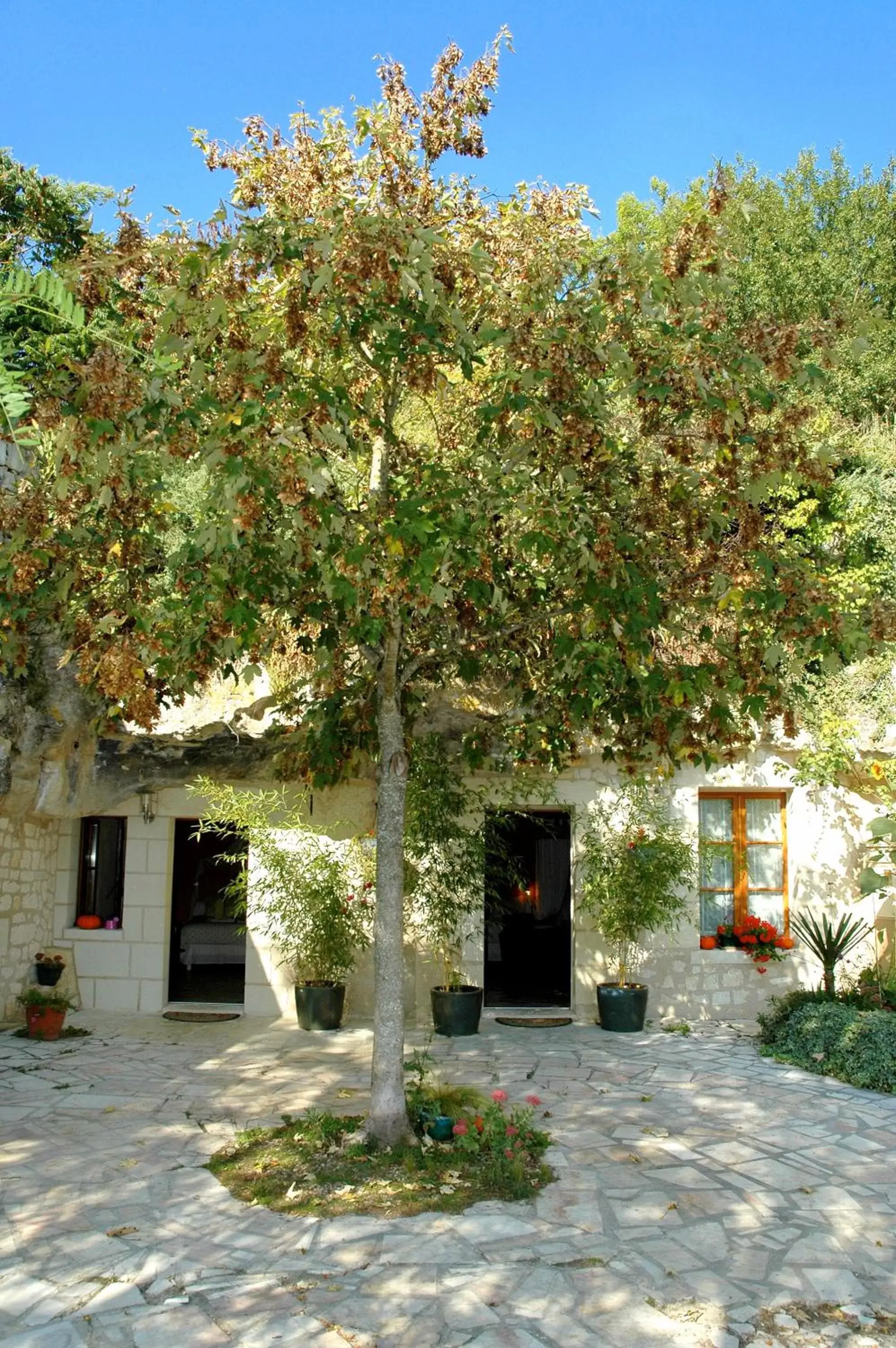 Decorative detail, Property Building in Logis Hôtels Troglododo