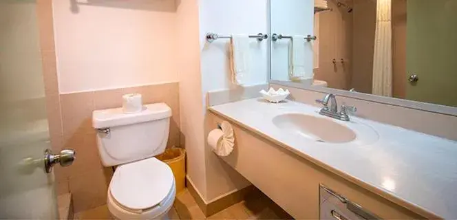 Toilet, Bathroom in Araiza Palmira Hotel y Centro de Convenciones