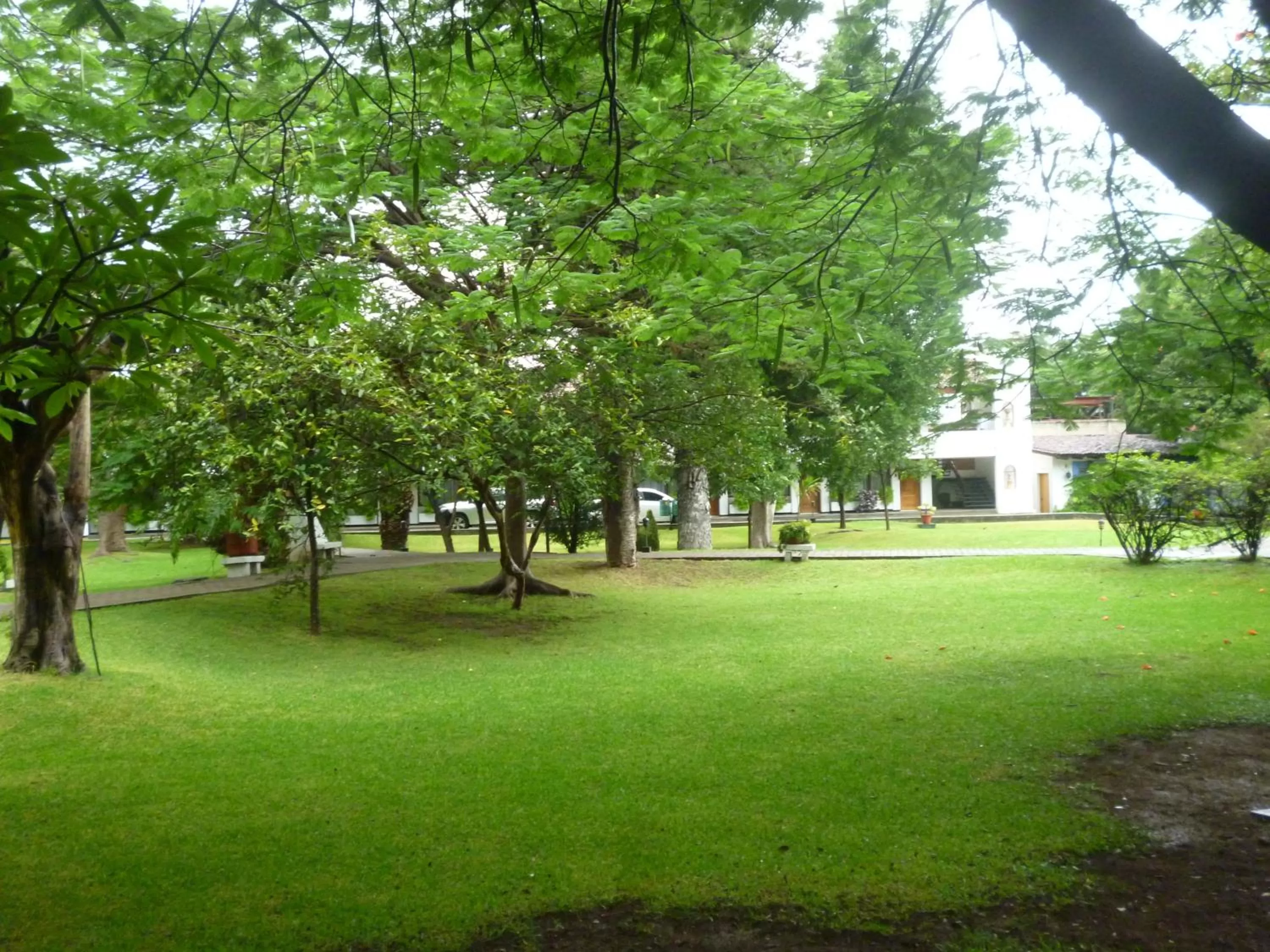 Garden in Mision De Los Angeles