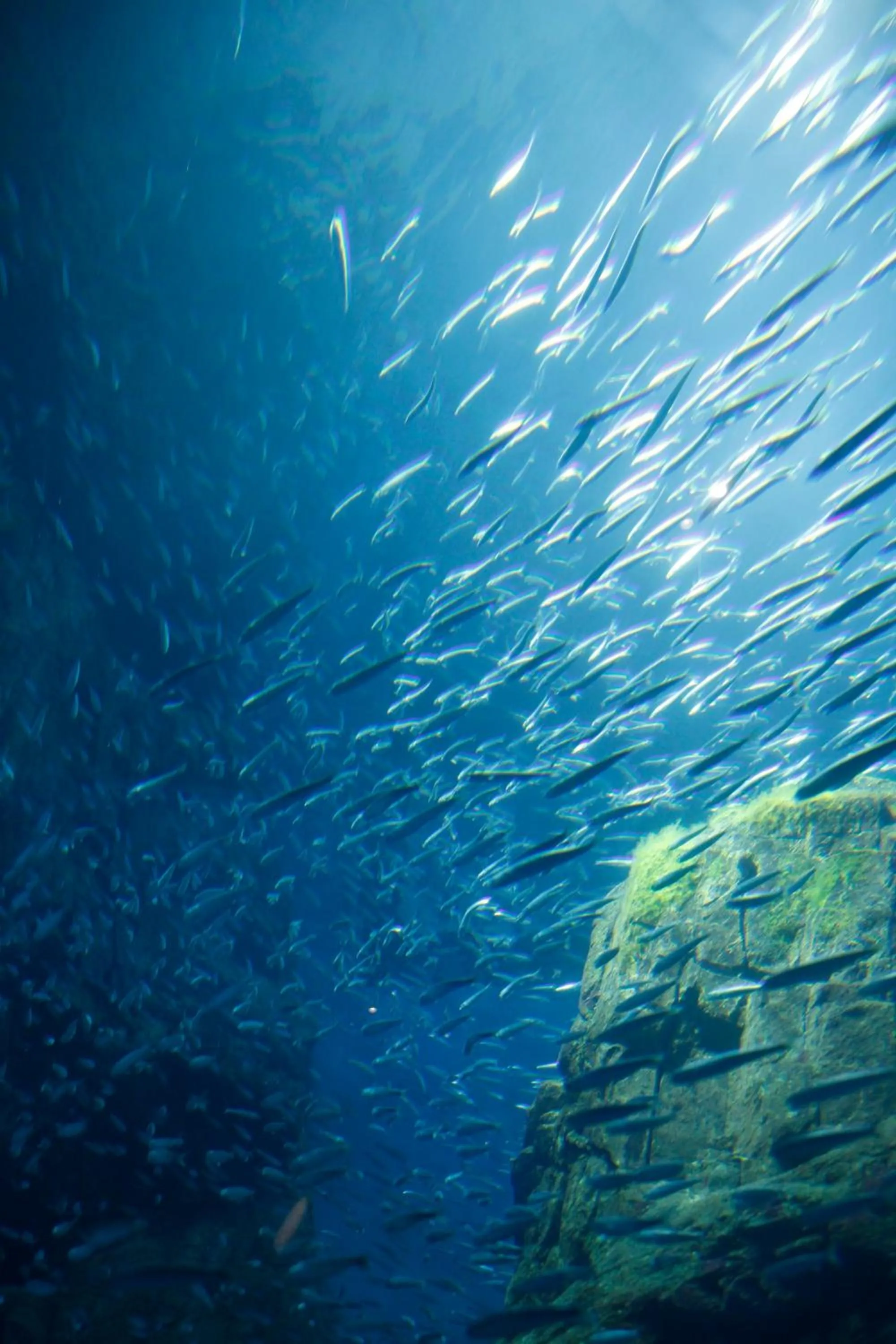 Nearby landmark in KOKO HOTEL Higashiosaka - formerly Hotel Wing International Select Higashi Osaka