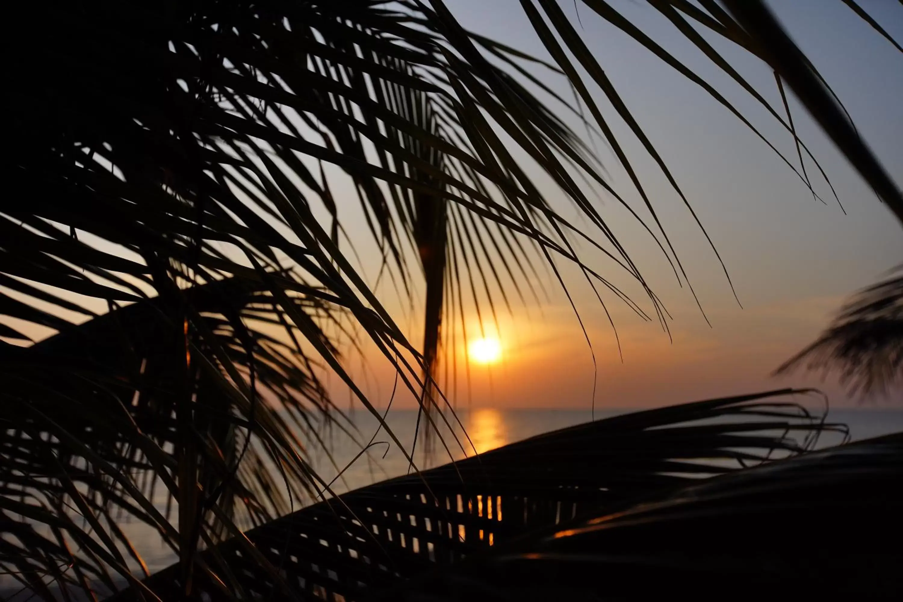 Natural landscape in Tanaosri Resort