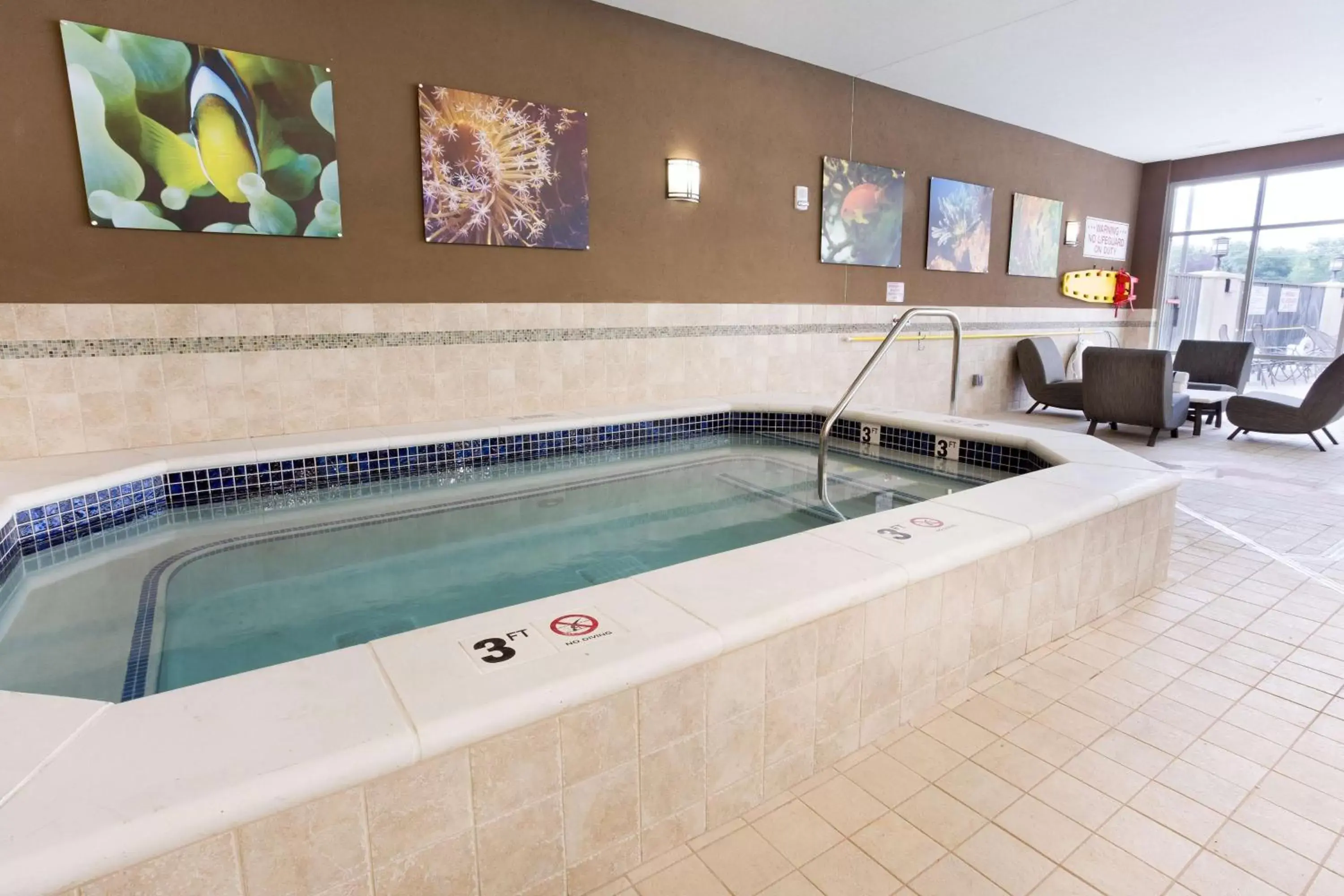 Activities, Swimming Pool in Drury Plaza Hotel Indianapolis Carmel