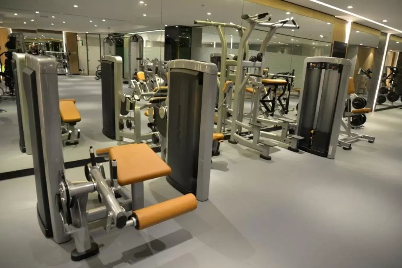 Fitness centre/facilities, Fitness Center/Facilities in Executives Hotel - Olaya