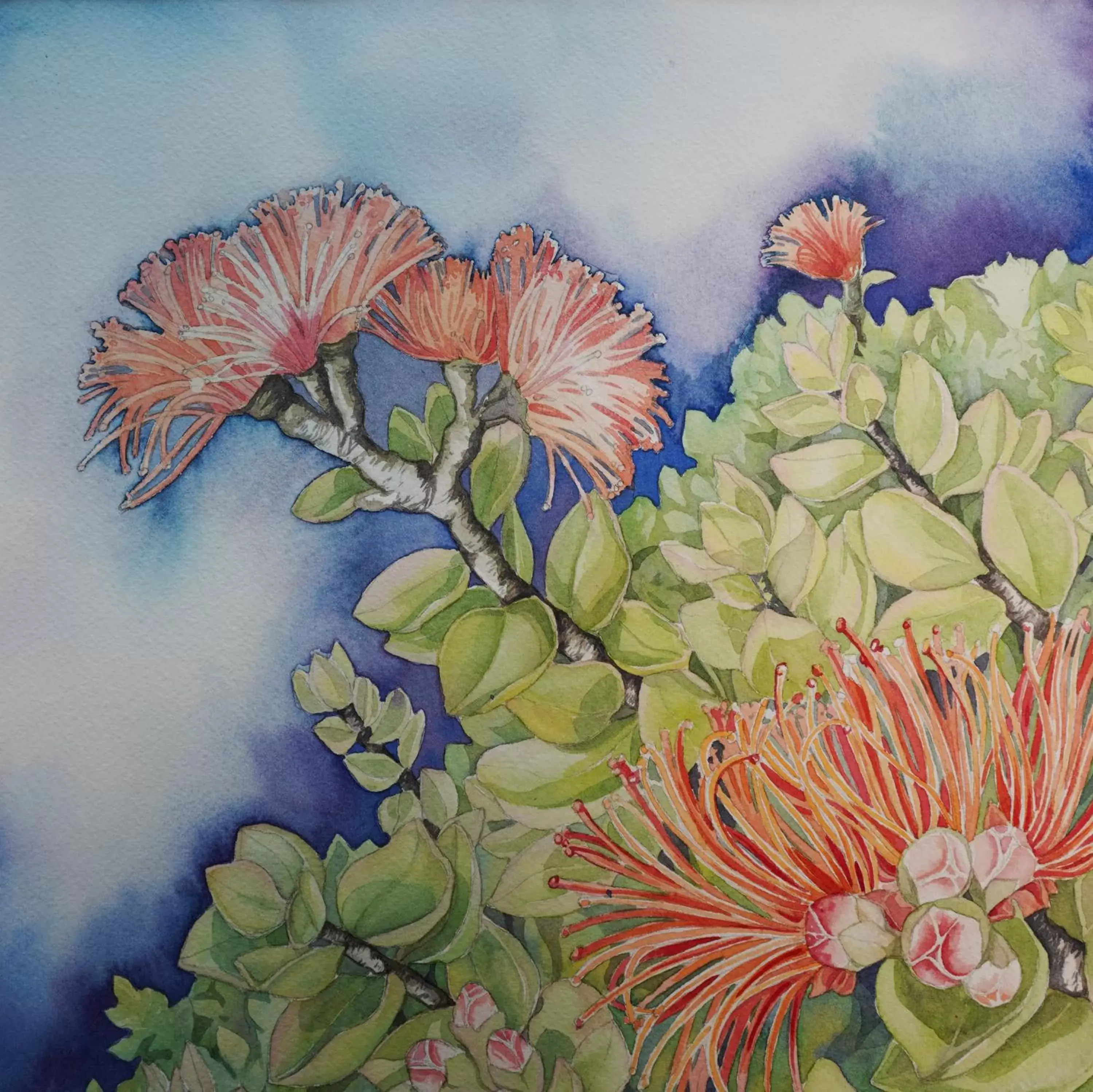 Ohia Suite in Imperial Hawaii Resort Ohia Suite in Imperial Hawaii Resort