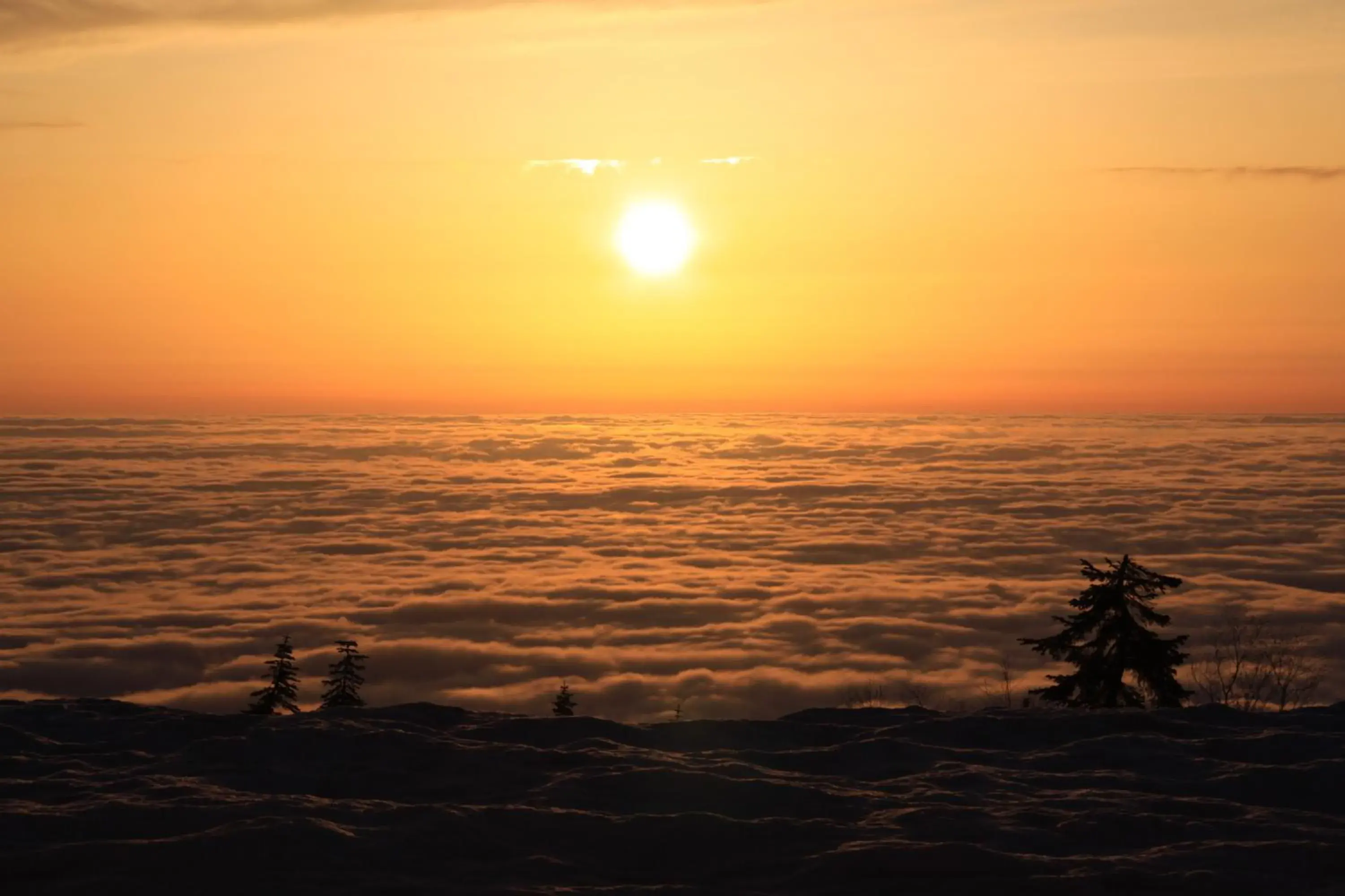 Spring, Sunrise/Sunset in Midagahara Hotel