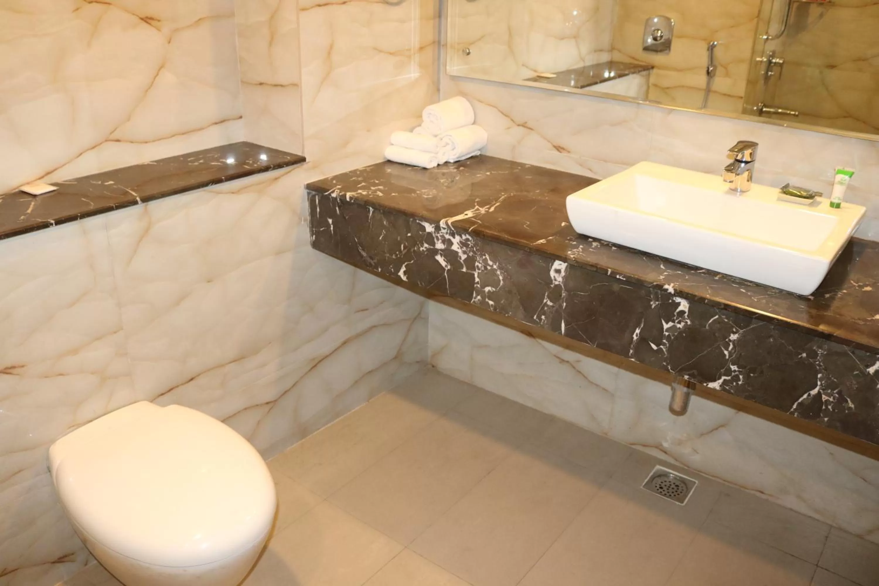 Bathroom in Radisson Srinagar