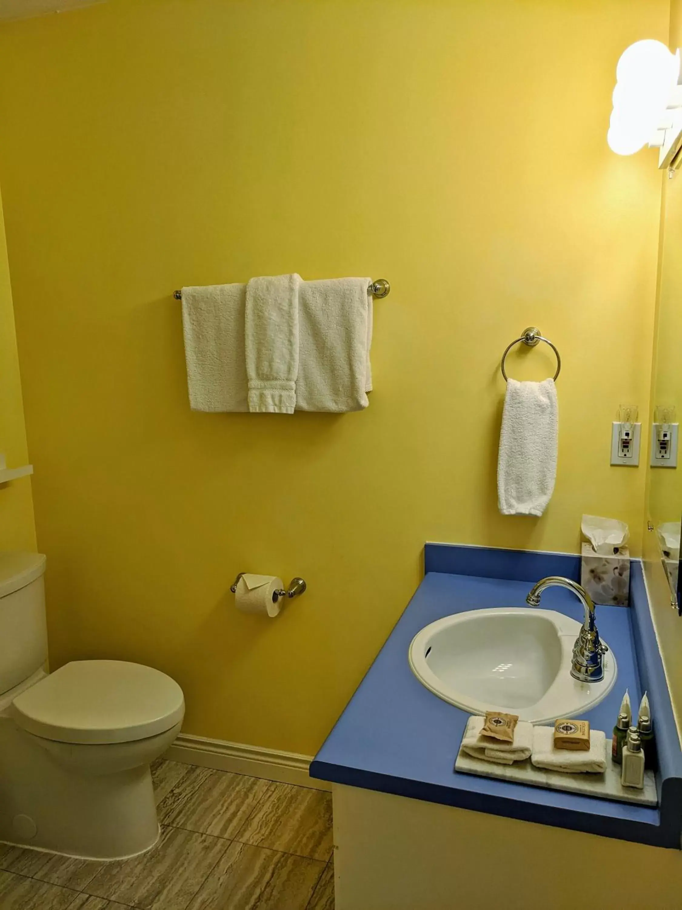 Toilet, Bathroom in Courthouse Inn Revelstoke