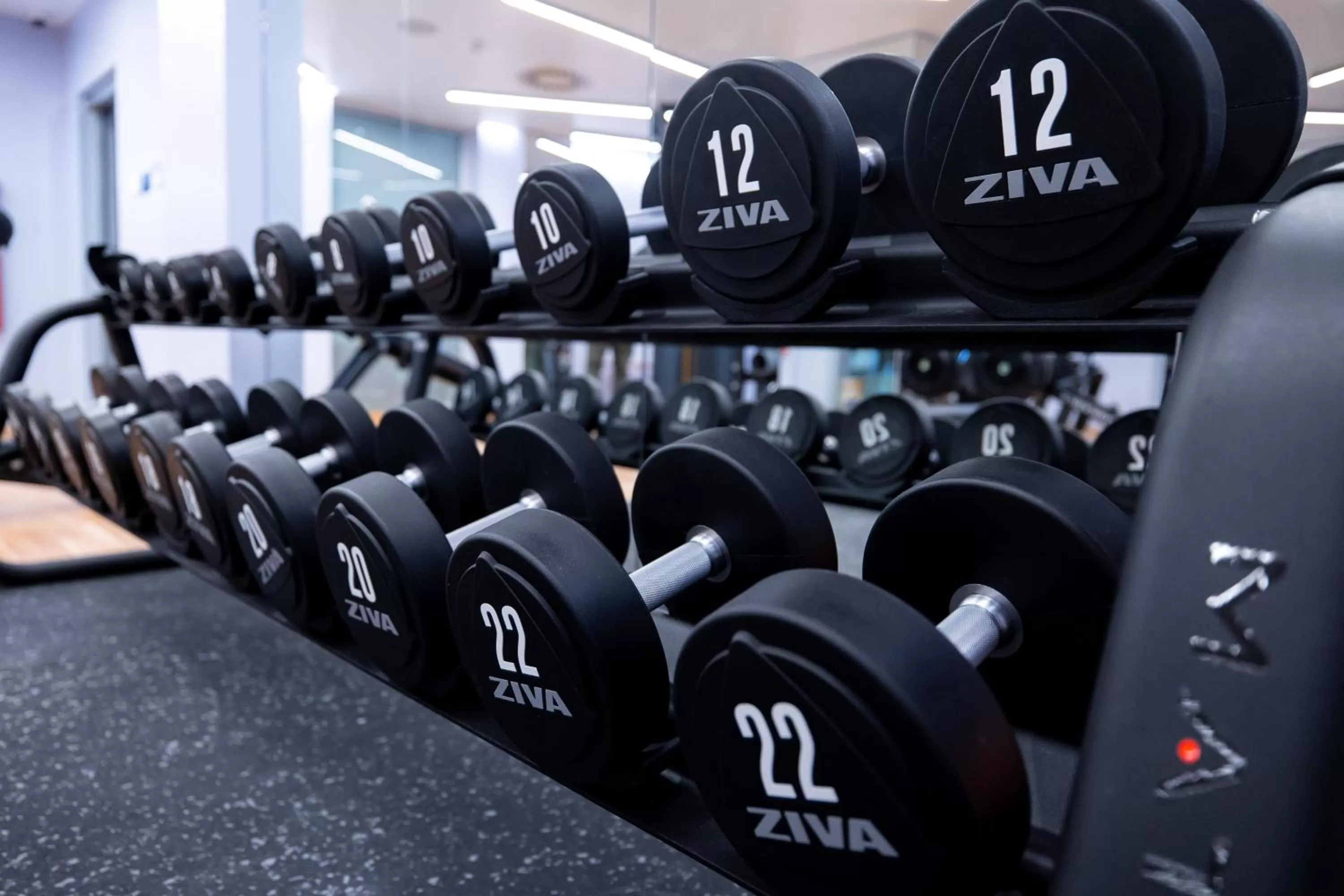 Fitness centre/facilities, Fitness Center/Facilities in Hotel Belmont