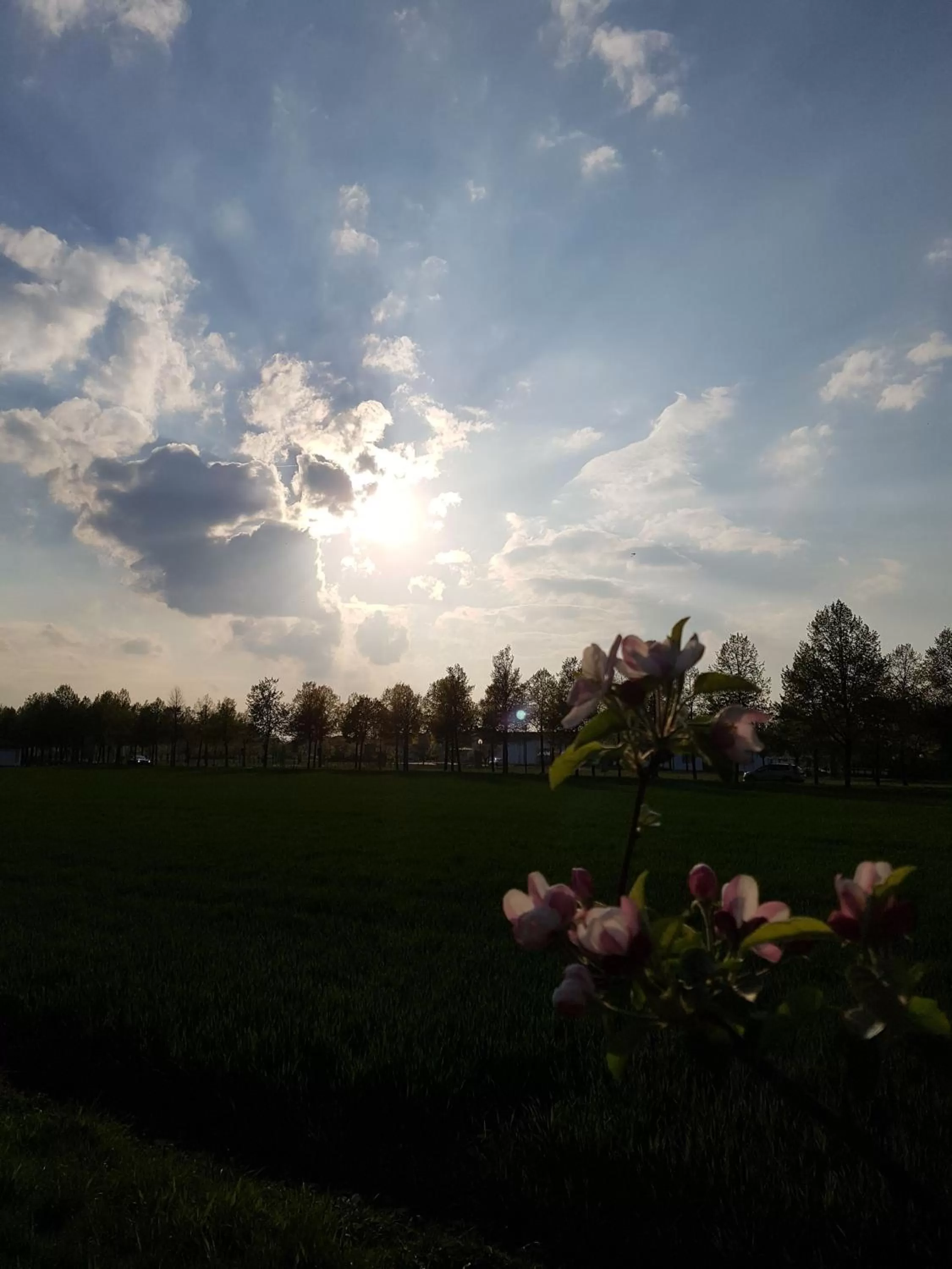 Neighbourhood in Kurhotel Anders