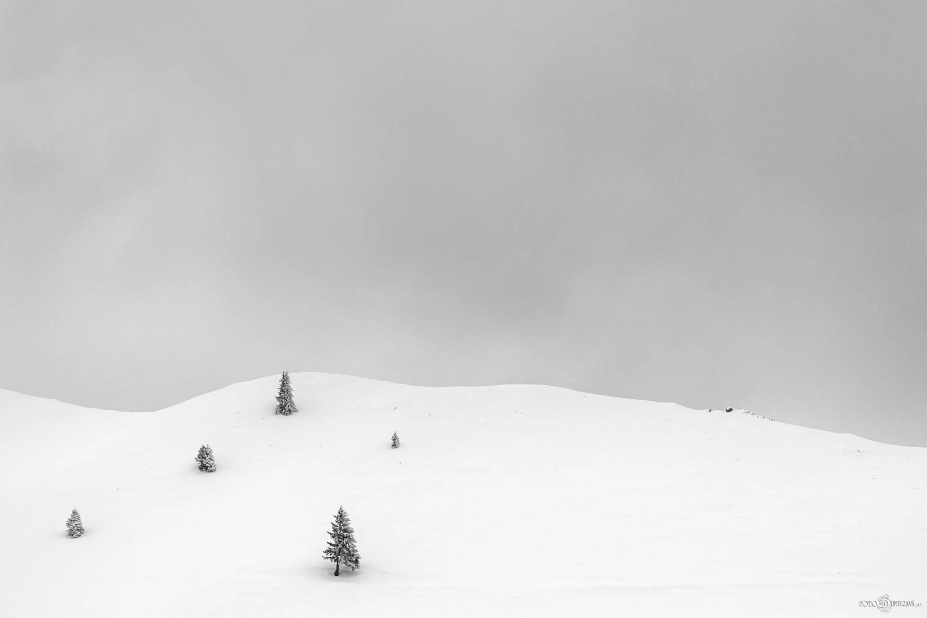 Nearby landmark, Winter in Hotel Belmont