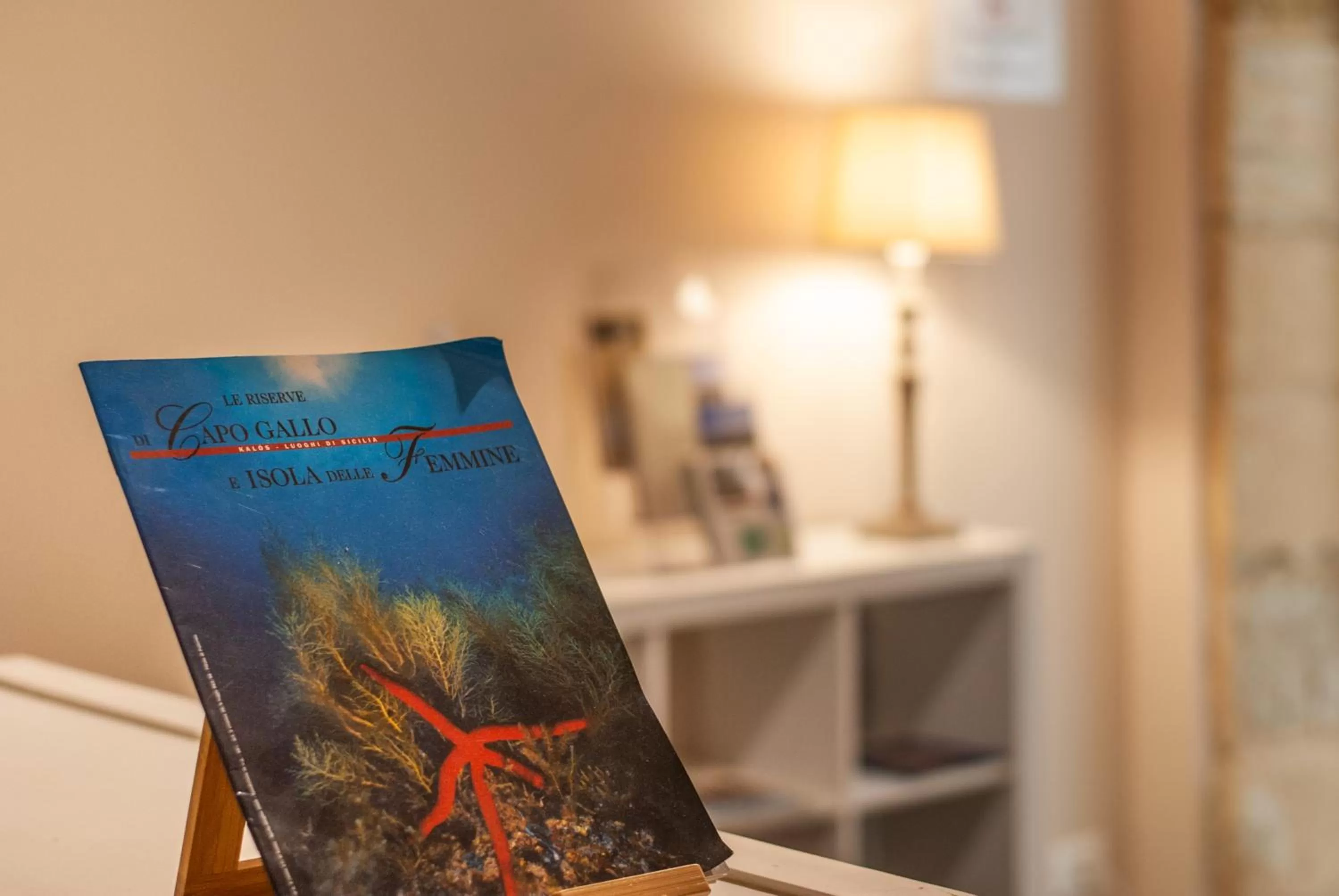 Lobby or reception in Affittacamere B&B Carella