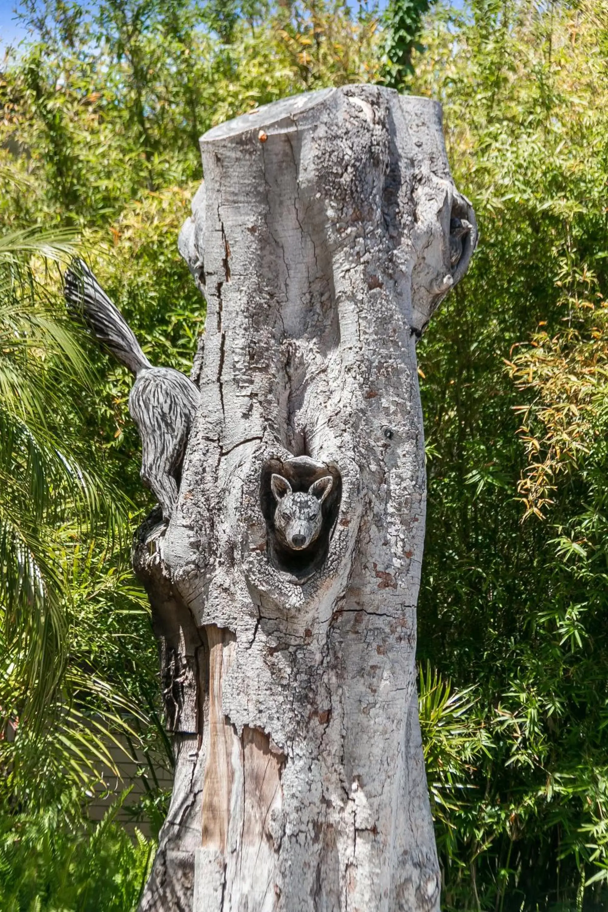 Animals in Flag Motor Lodge