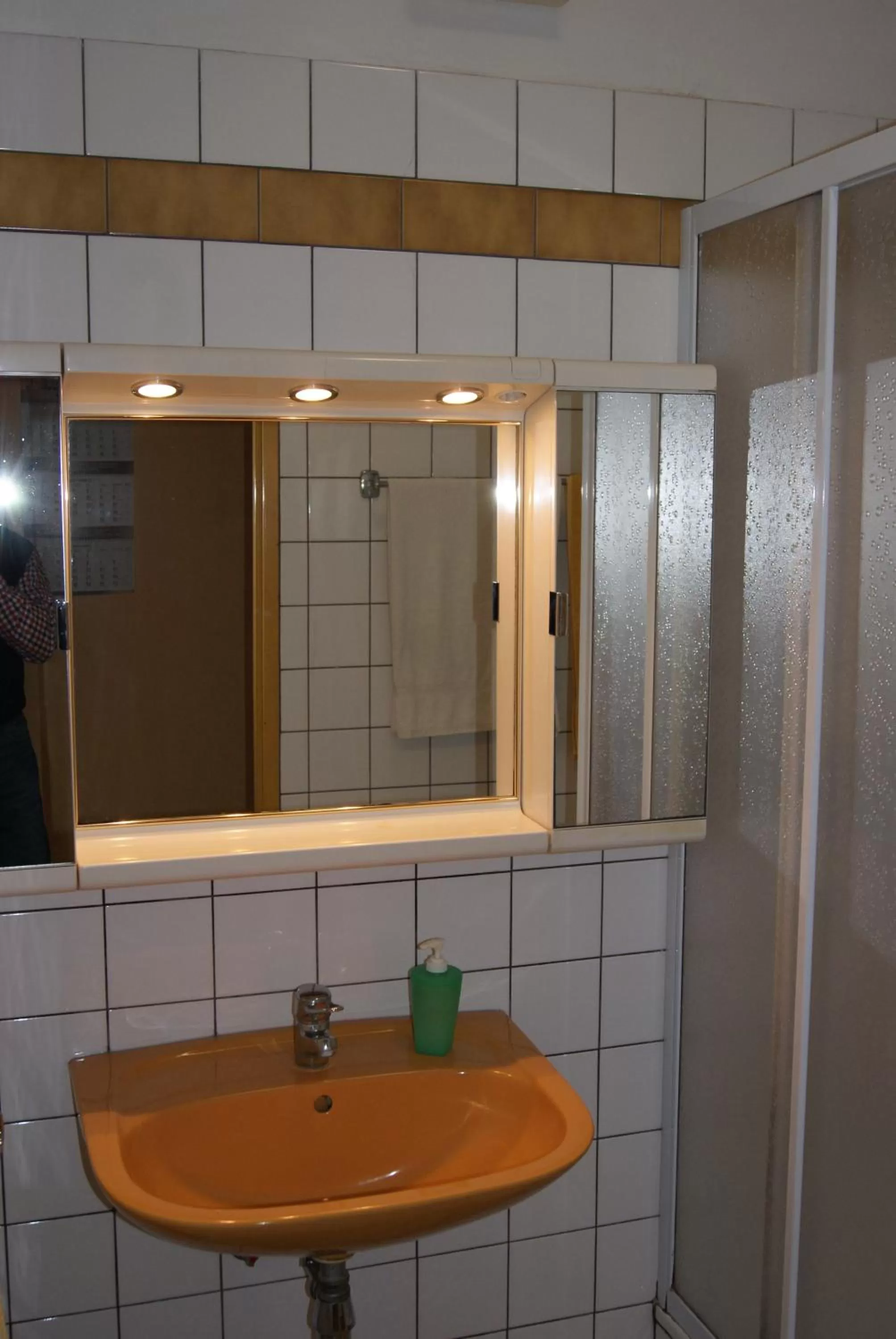 Bathroom in Hotel Alga