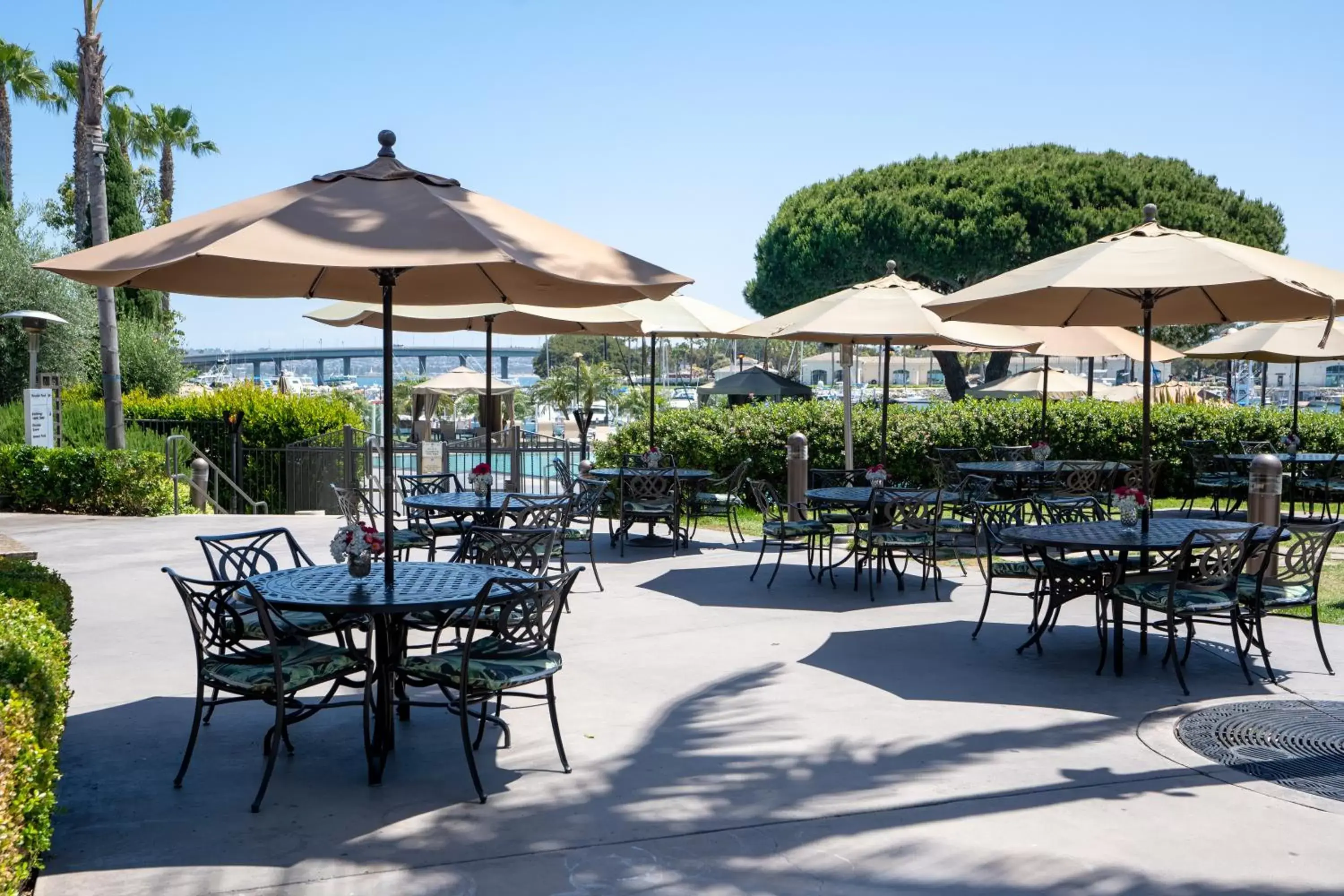 Patio, Restaurant/Places to Eat in The Dana on Mission Bay